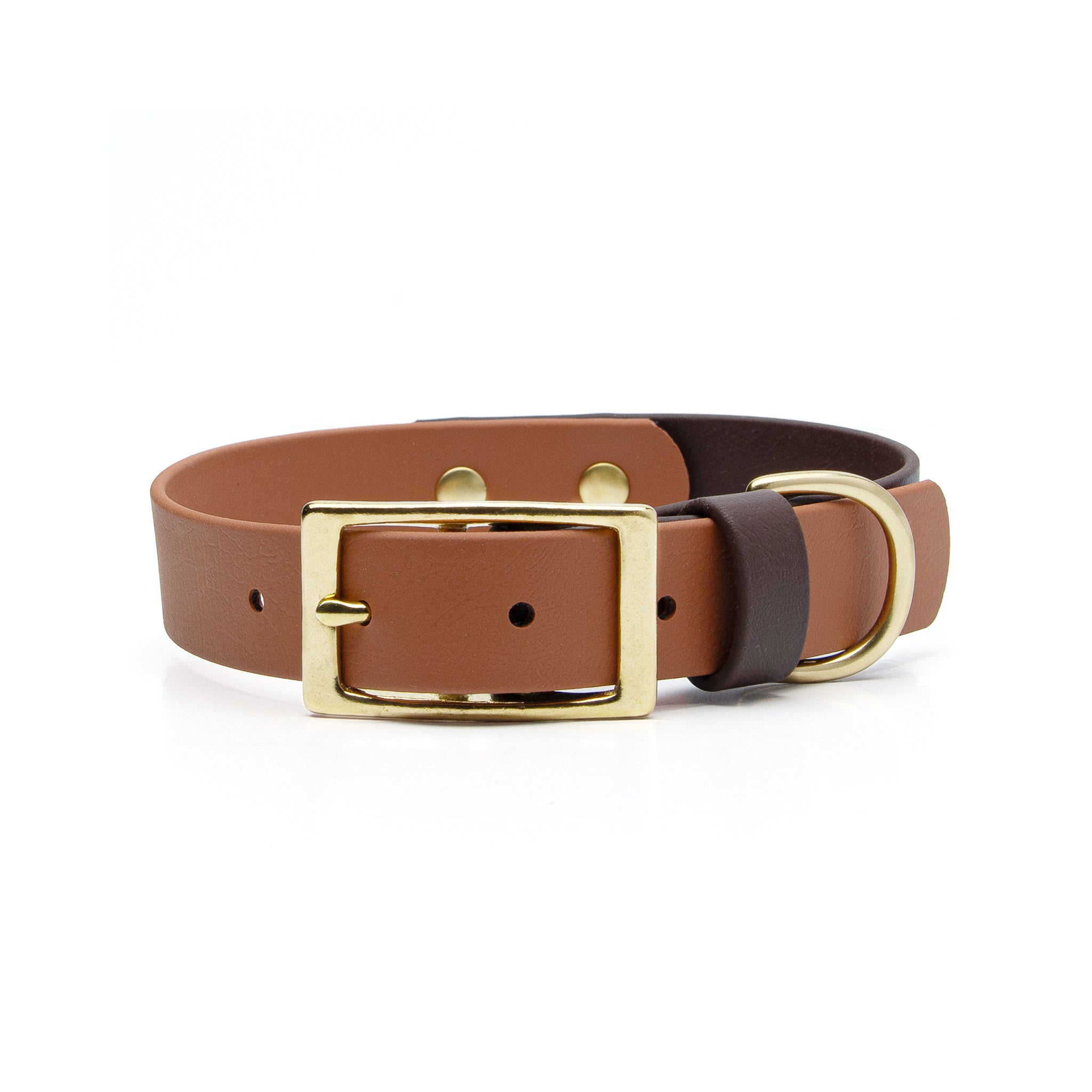 Two-tone buckle dog collar in caramel and espresso with brass buckle and hardware