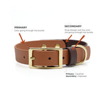 Two-tone buckle dog collar in caramel and espresso with brass buckle and hardware with product details on a white background
