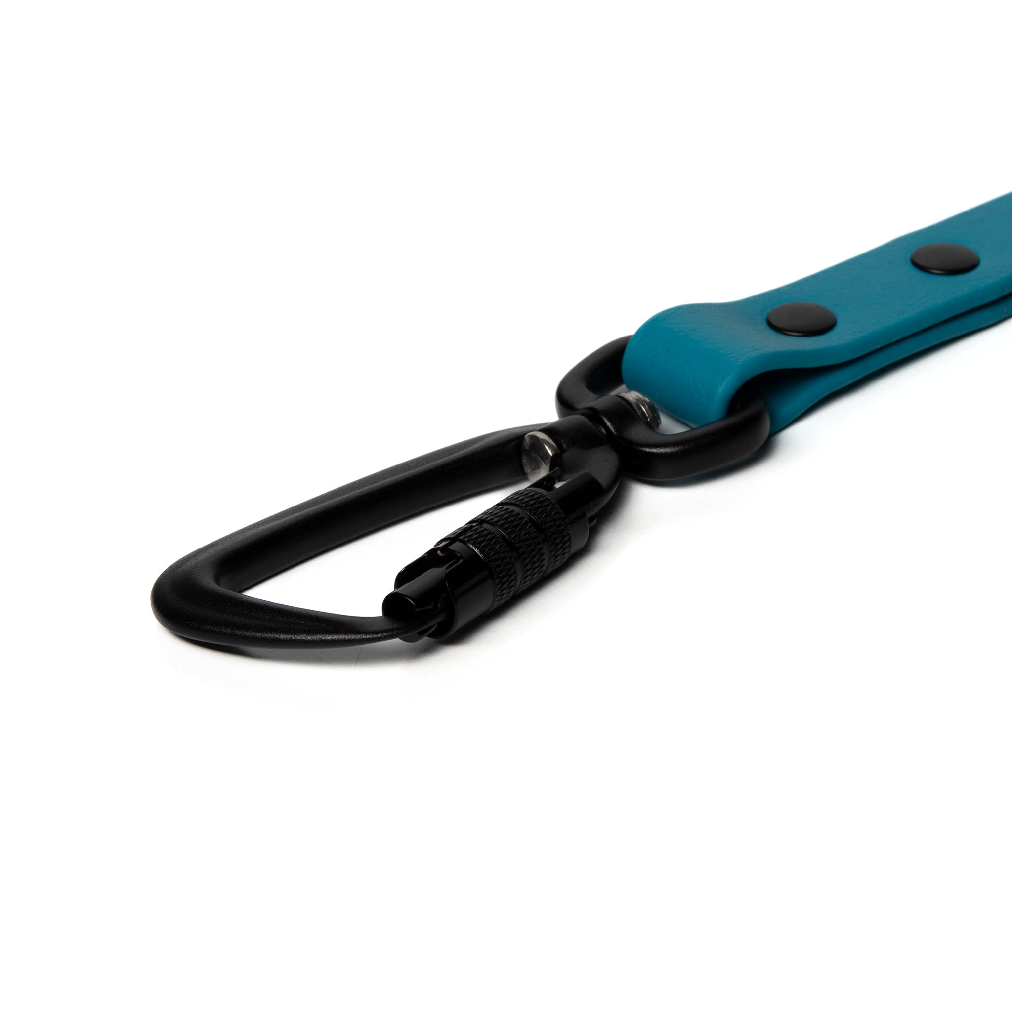 BioThane® Waterproof Dog Leash - Ocean Blue