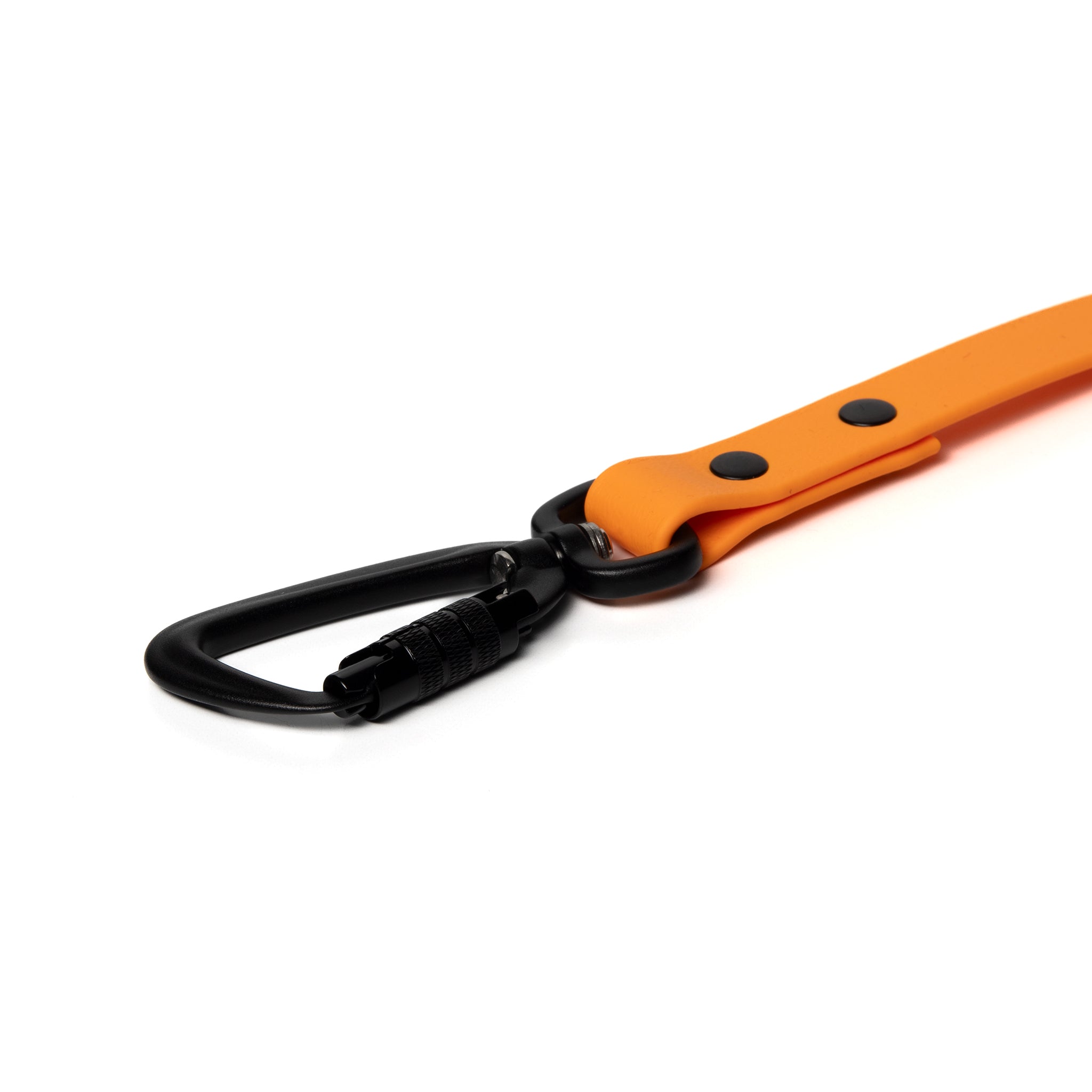 BioThane® Waterproof Dog Leash - Tangerine