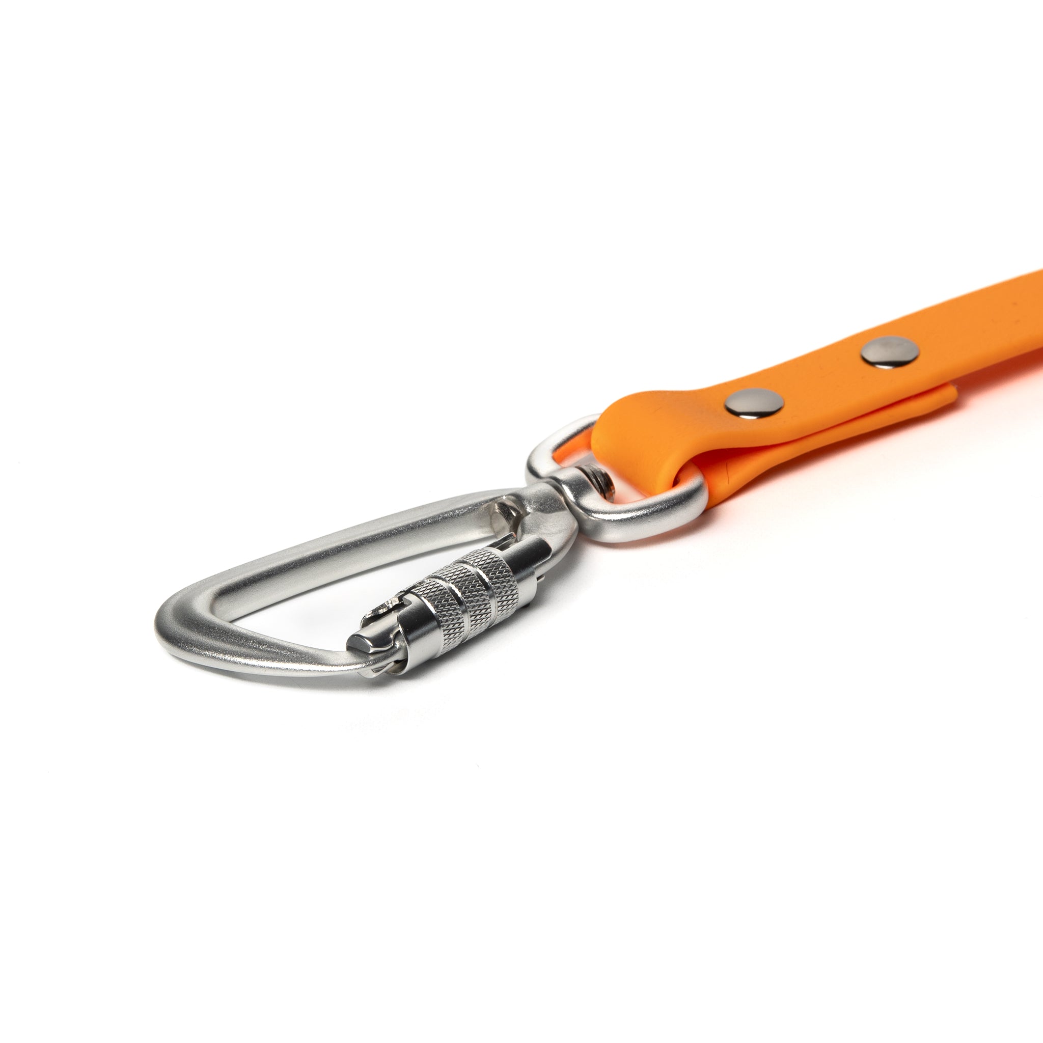 BioThane® Waterproof Dog Leash - Tangerine