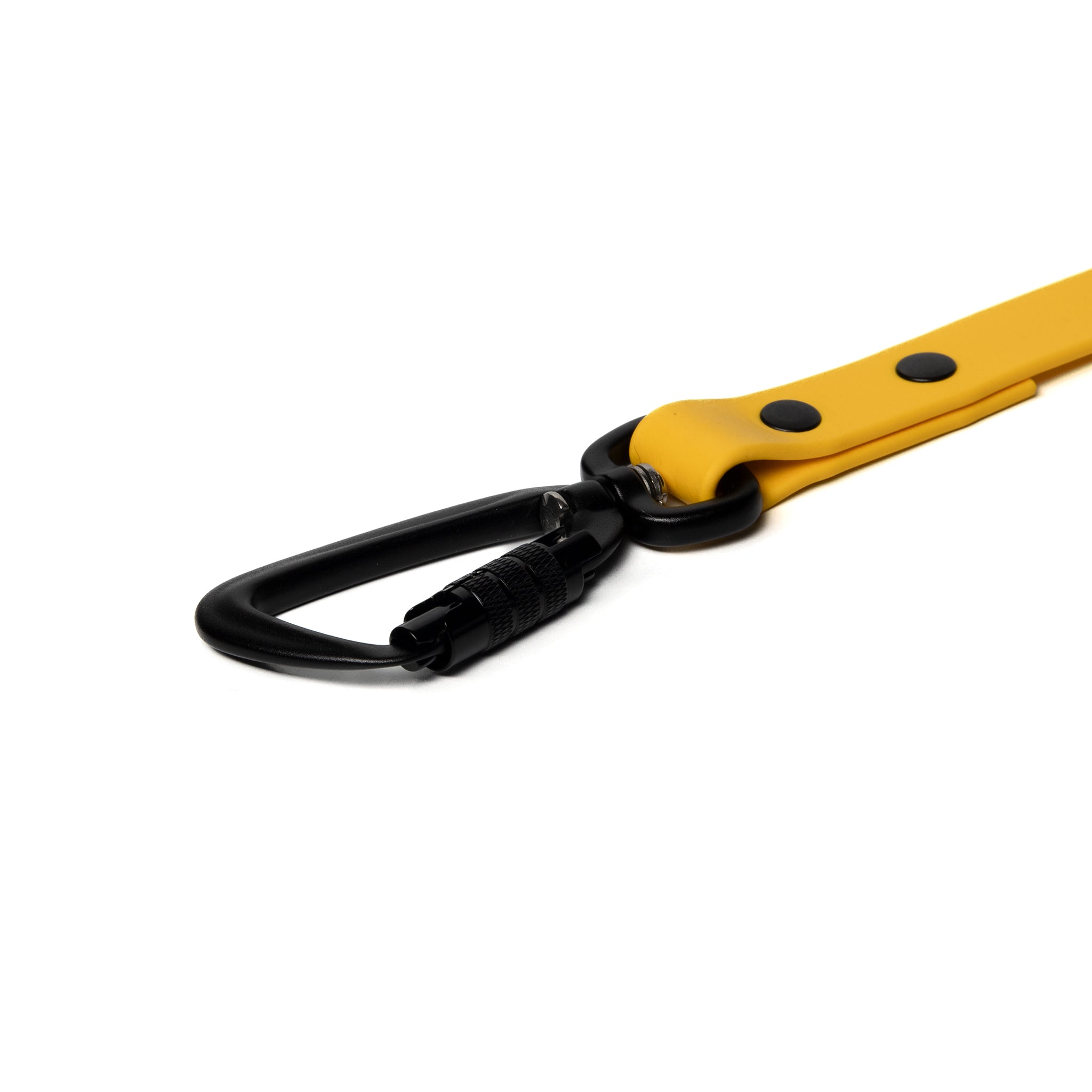BioThane® Waterproof Dog Leash - Yellow