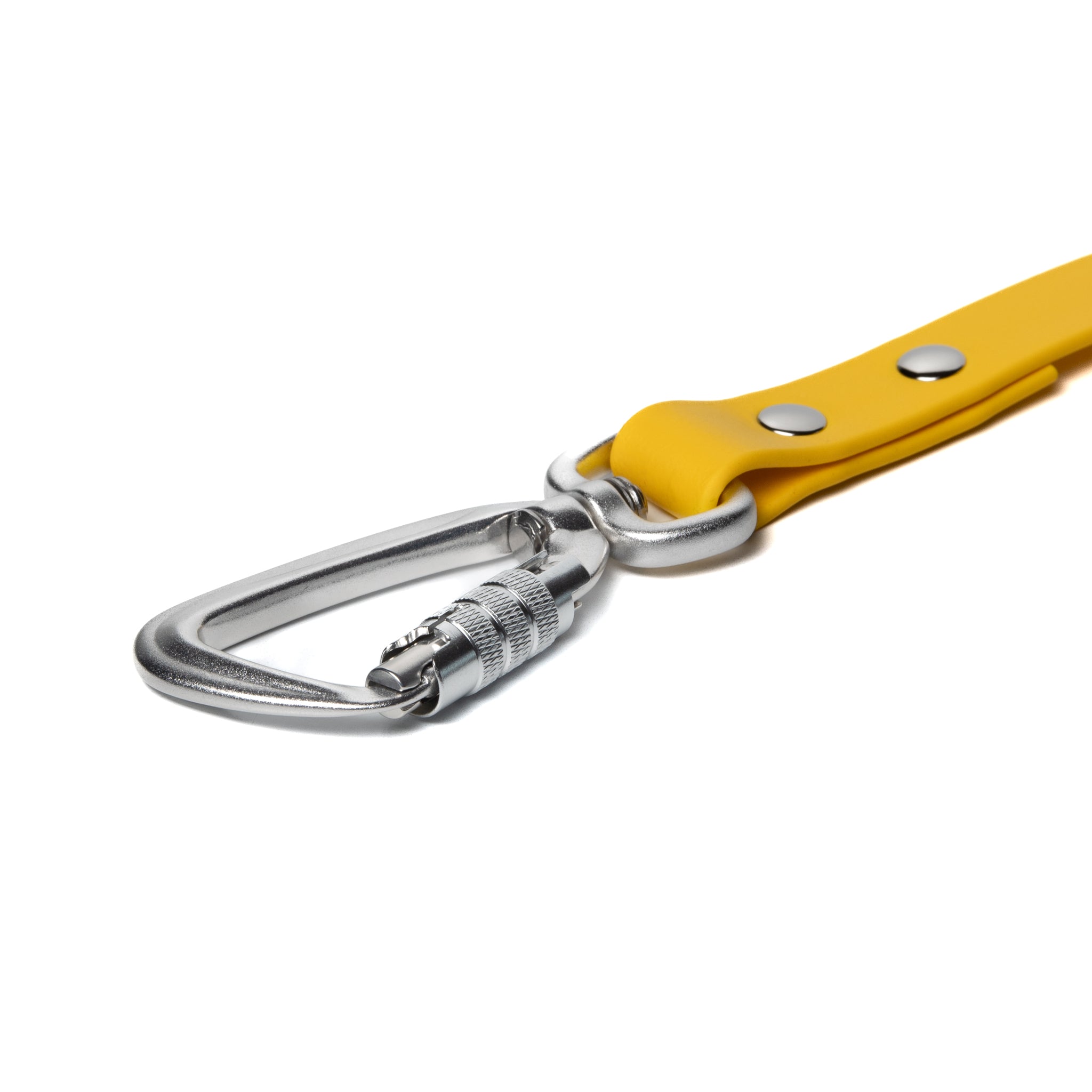 BioThane® Waterproof Dog Leash - Yellow