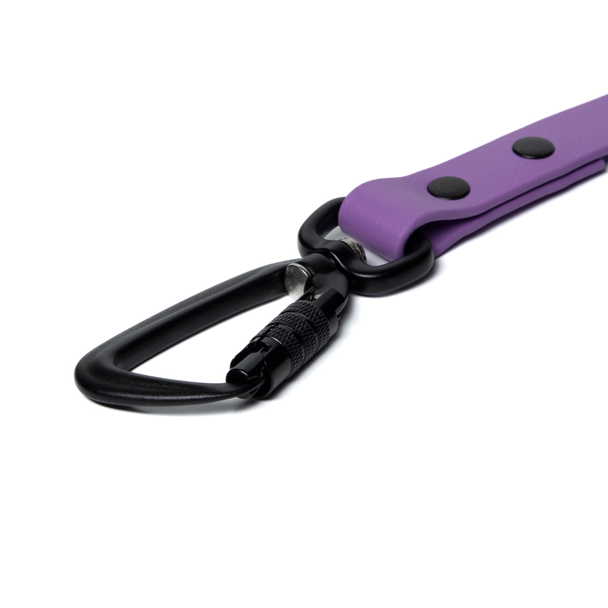 BioThane® Waterproof Dog Leash - Amethyst