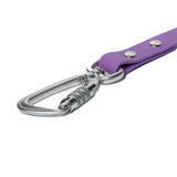 BioThane® Waterproof Dog Leash - Amethyst