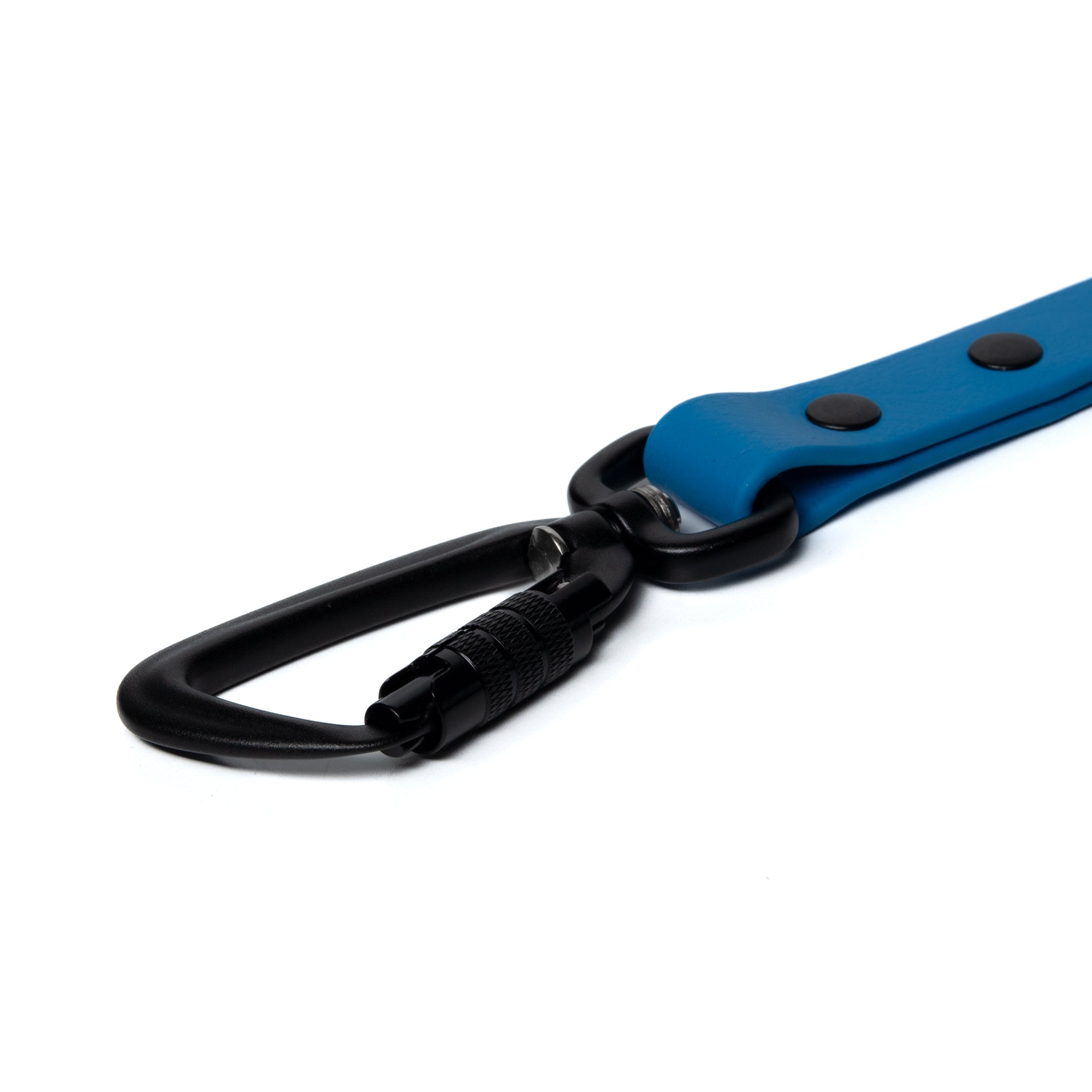 BioThane® Waterproof Dog Leash - Azure