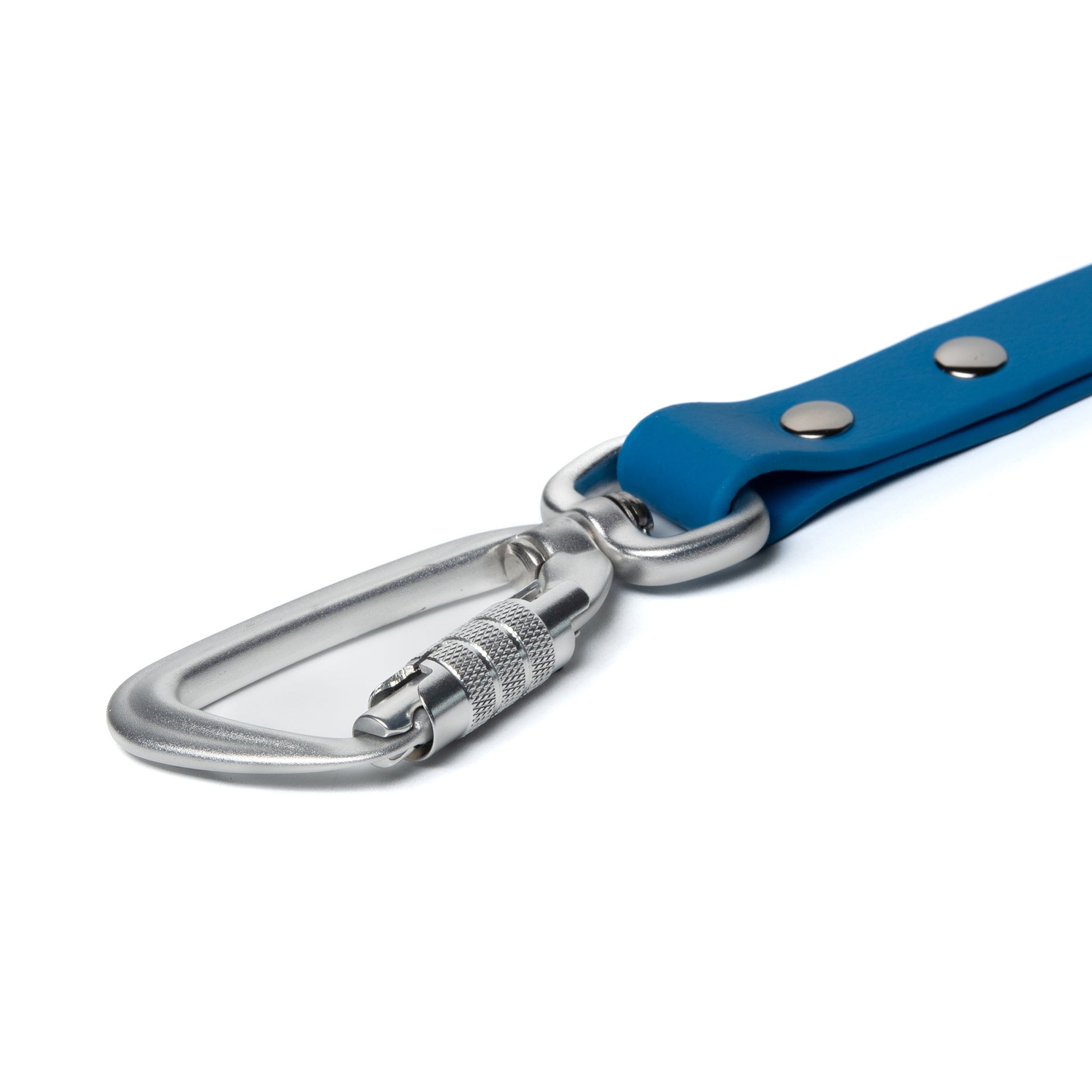 BioThane® Waterproof Dog Leash - Azure