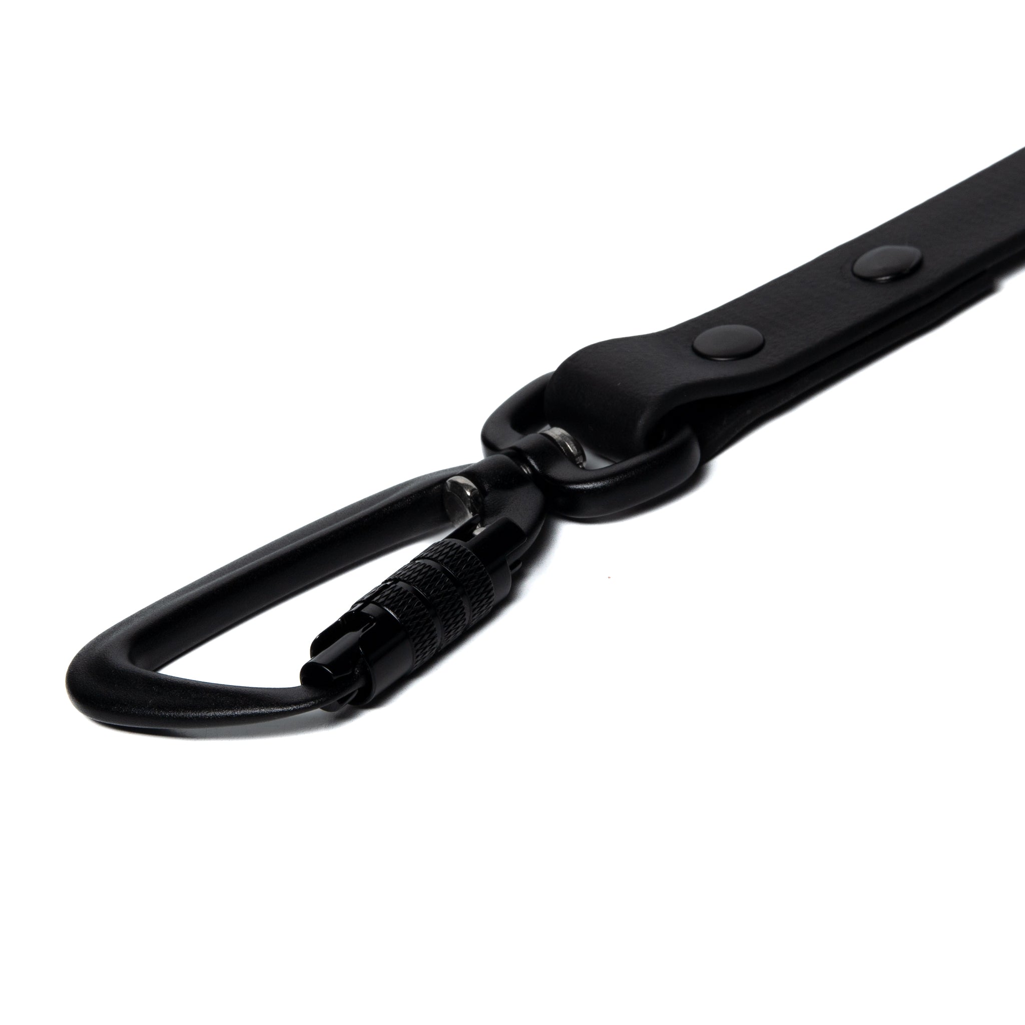 BioThane® Waterproof Dog Leash - Black