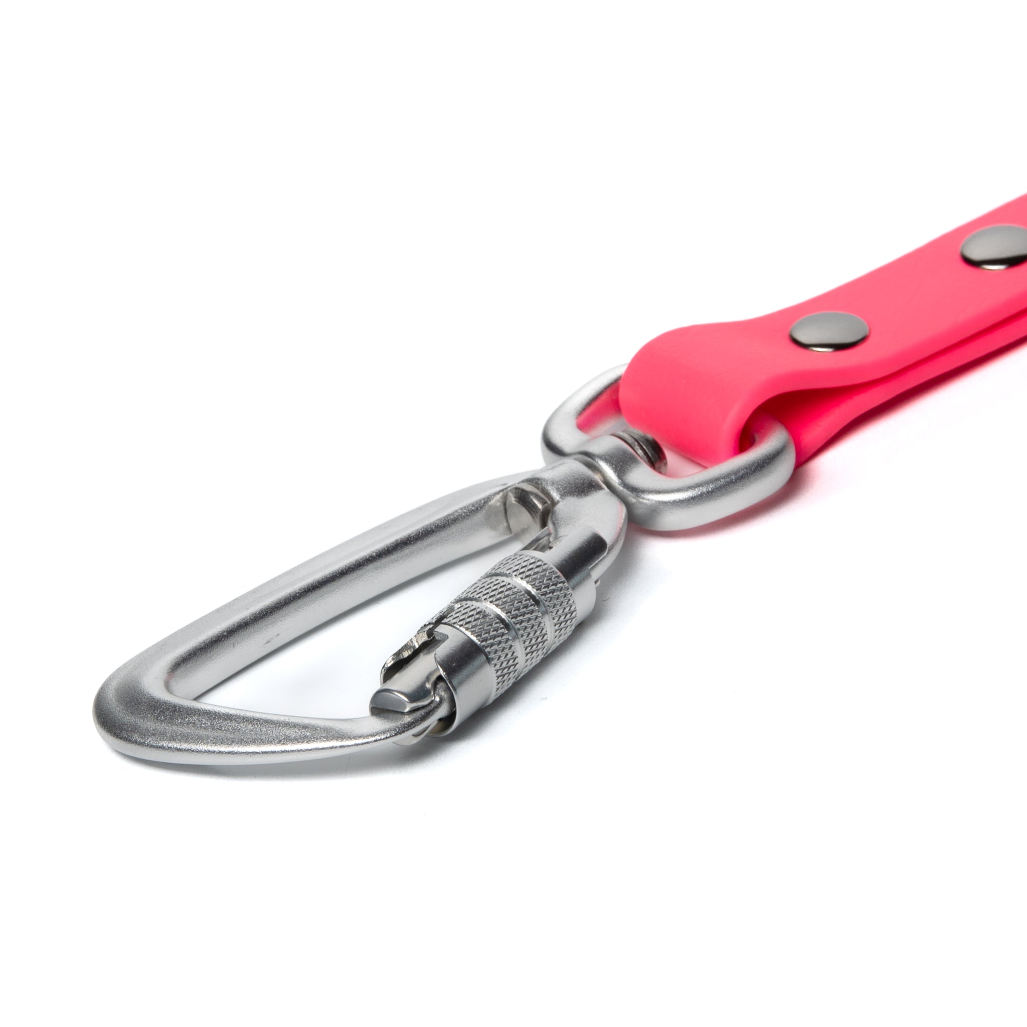 BioThane® Waterproof Dog Leash - Bubblegum Pink