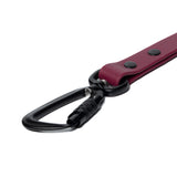 BioThane® Waterproof Dog Leash - Wine