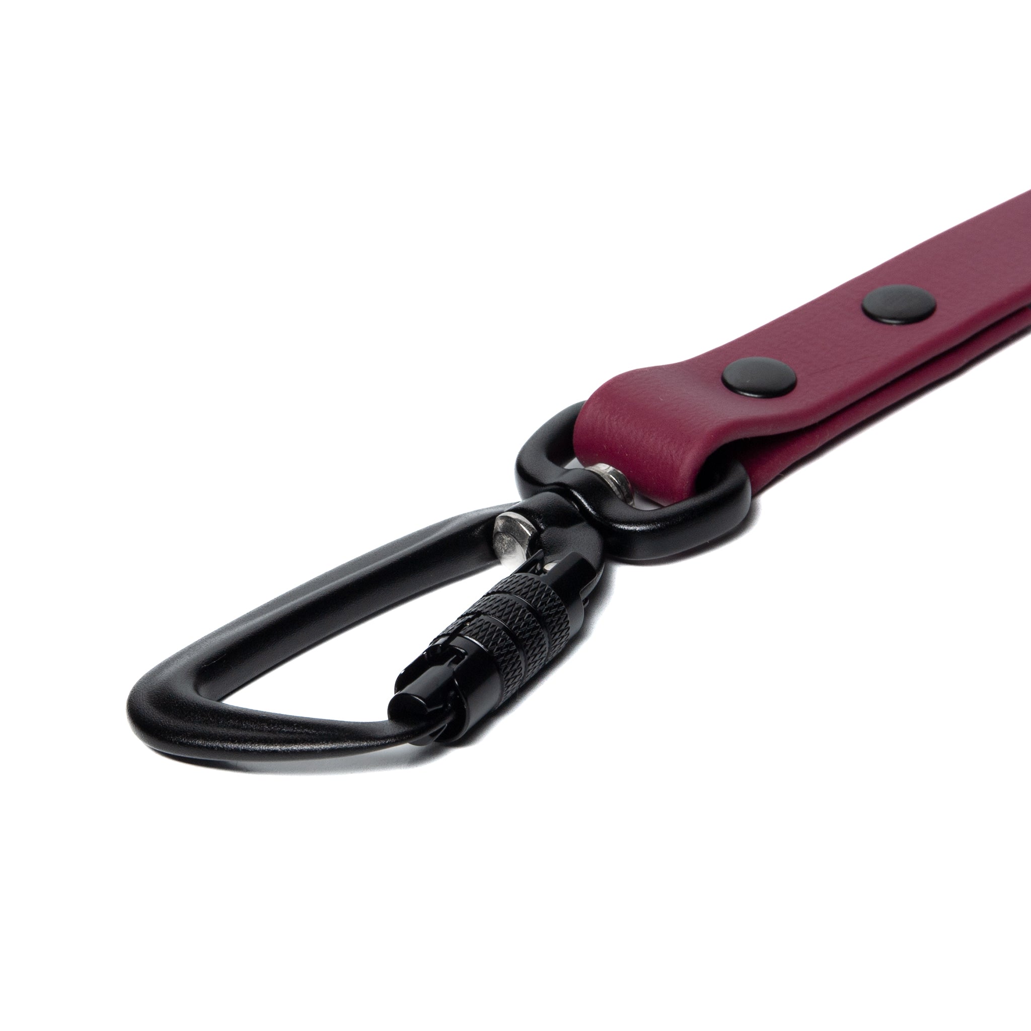 BioThane® Waterproof Dog Leash - Wine