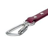 BioThane® Waterproof Dog Leash - Wine