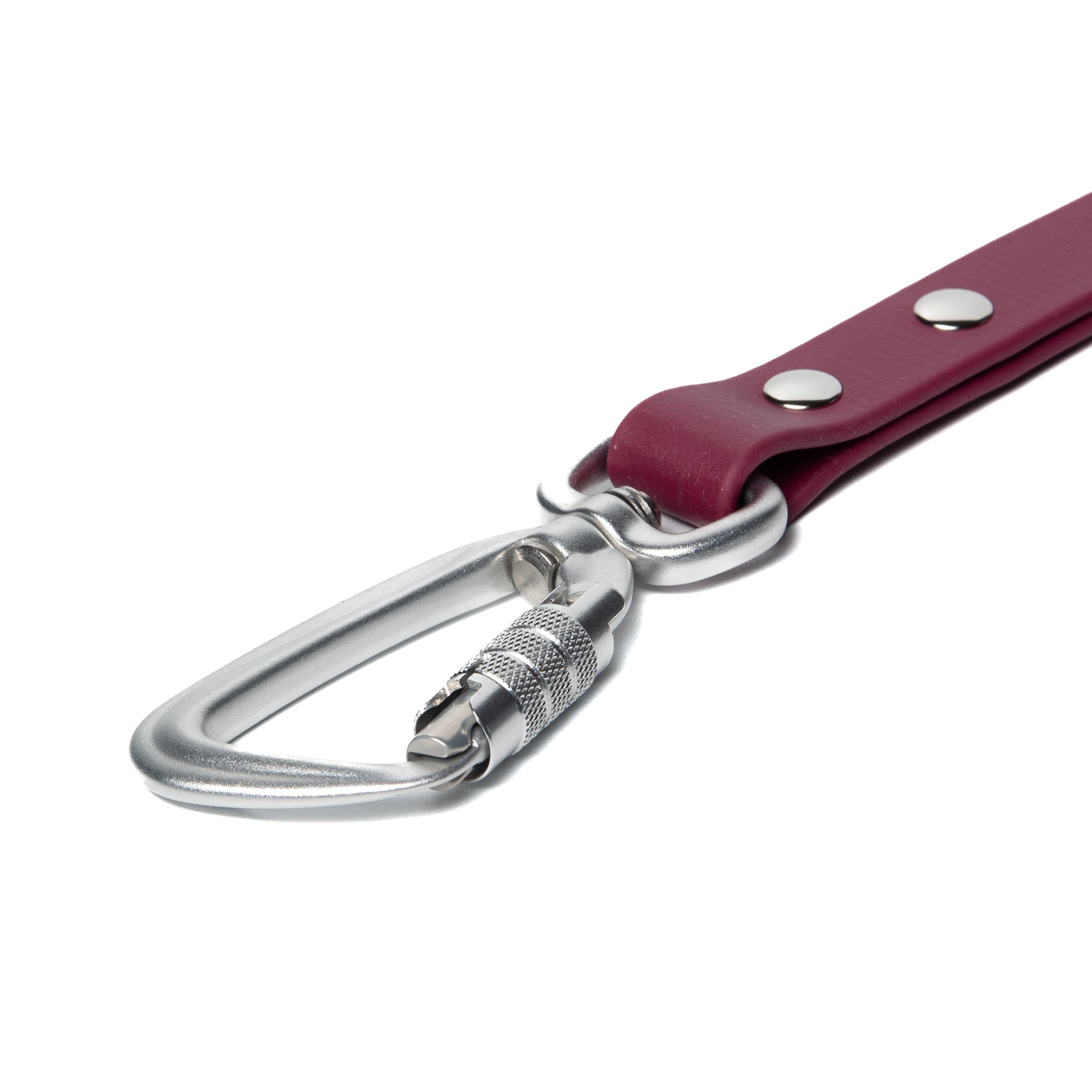 BioThane® Waterproof Dog Leash - Wine