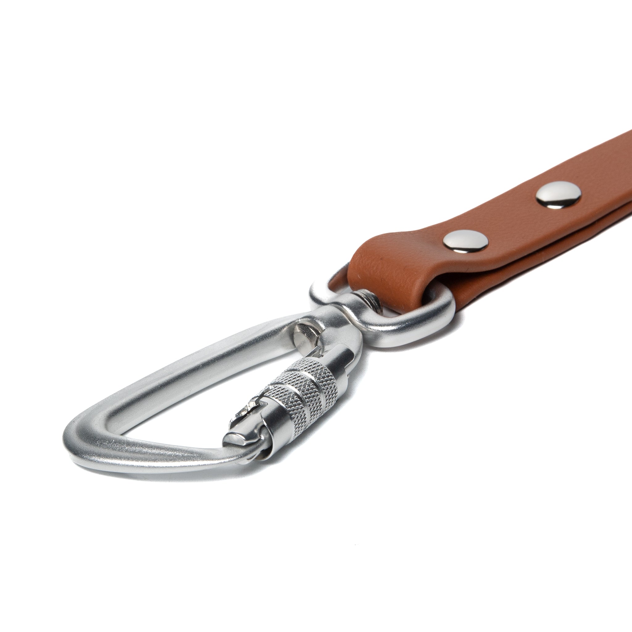 BioThane® Waterproof Dog Leash - Caramel