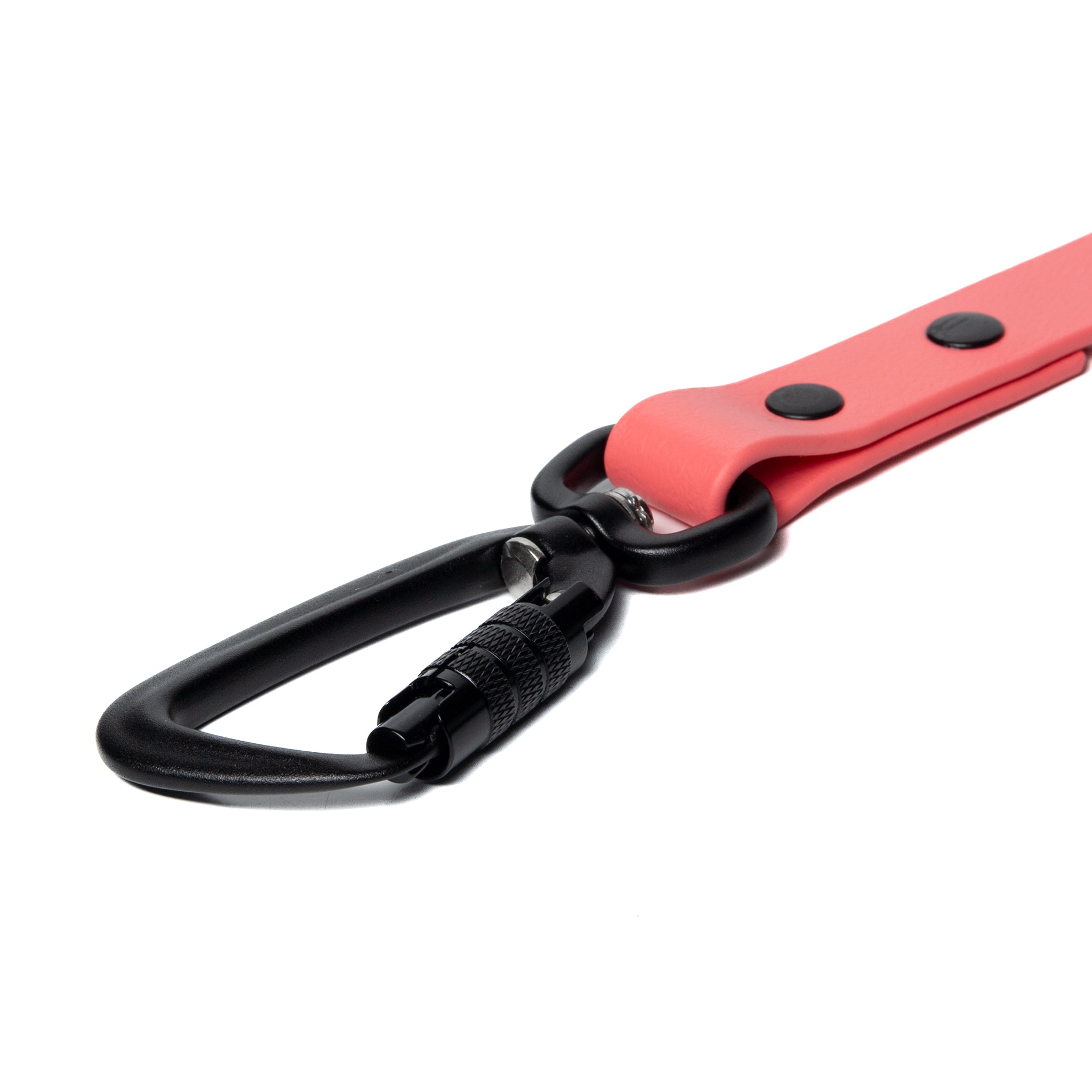 BioThane® Waterproof Dog Leash - Coral