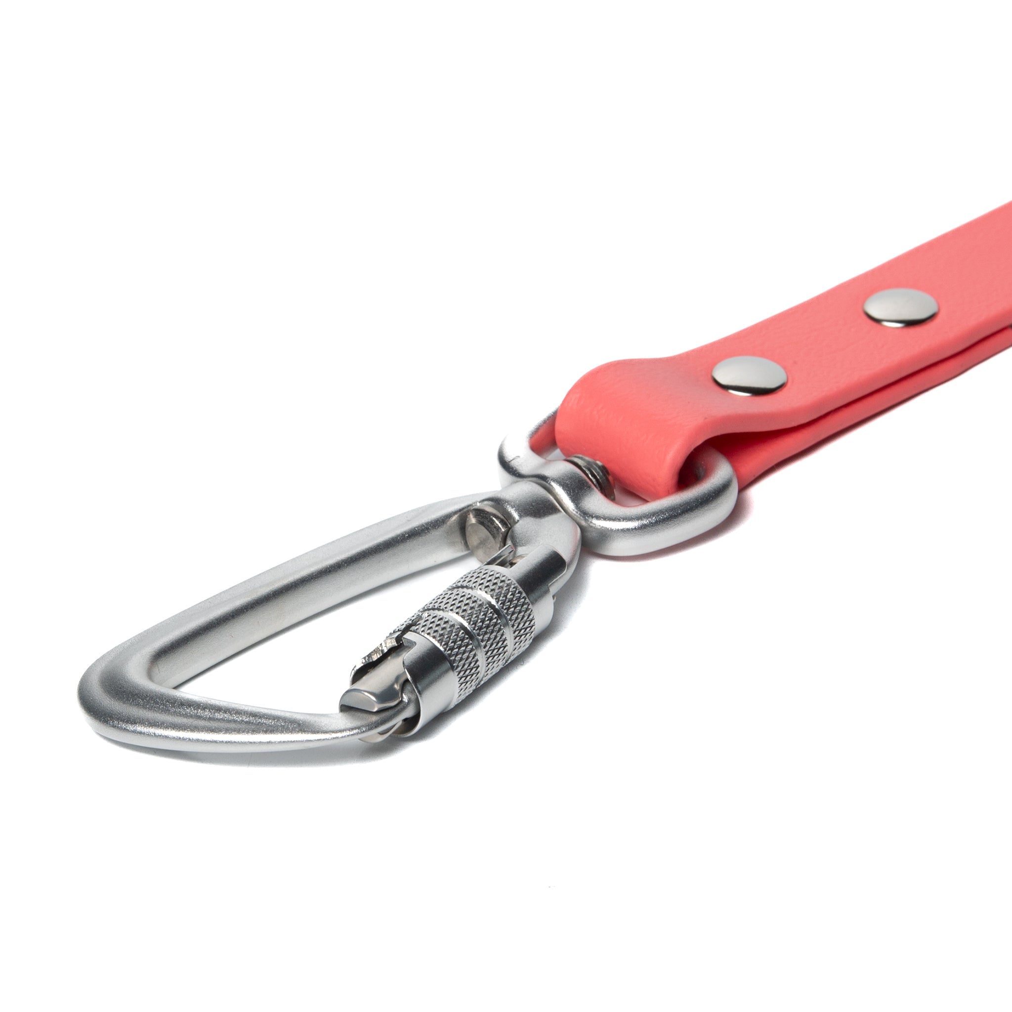 BioThane® Waterproof Dog Leash - Coral
