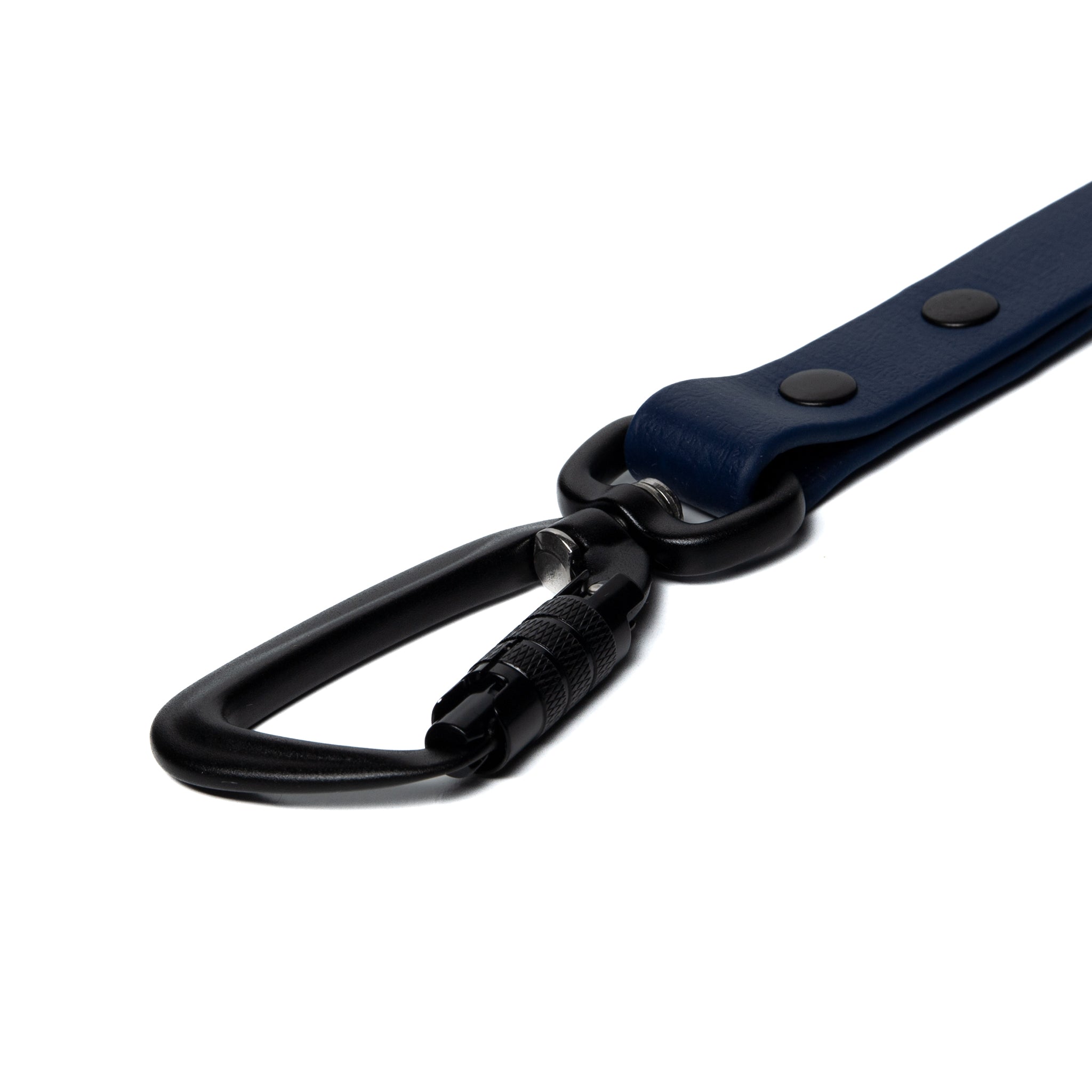 BioThane® Waterproof Dog Leash - Deep Sea Blue