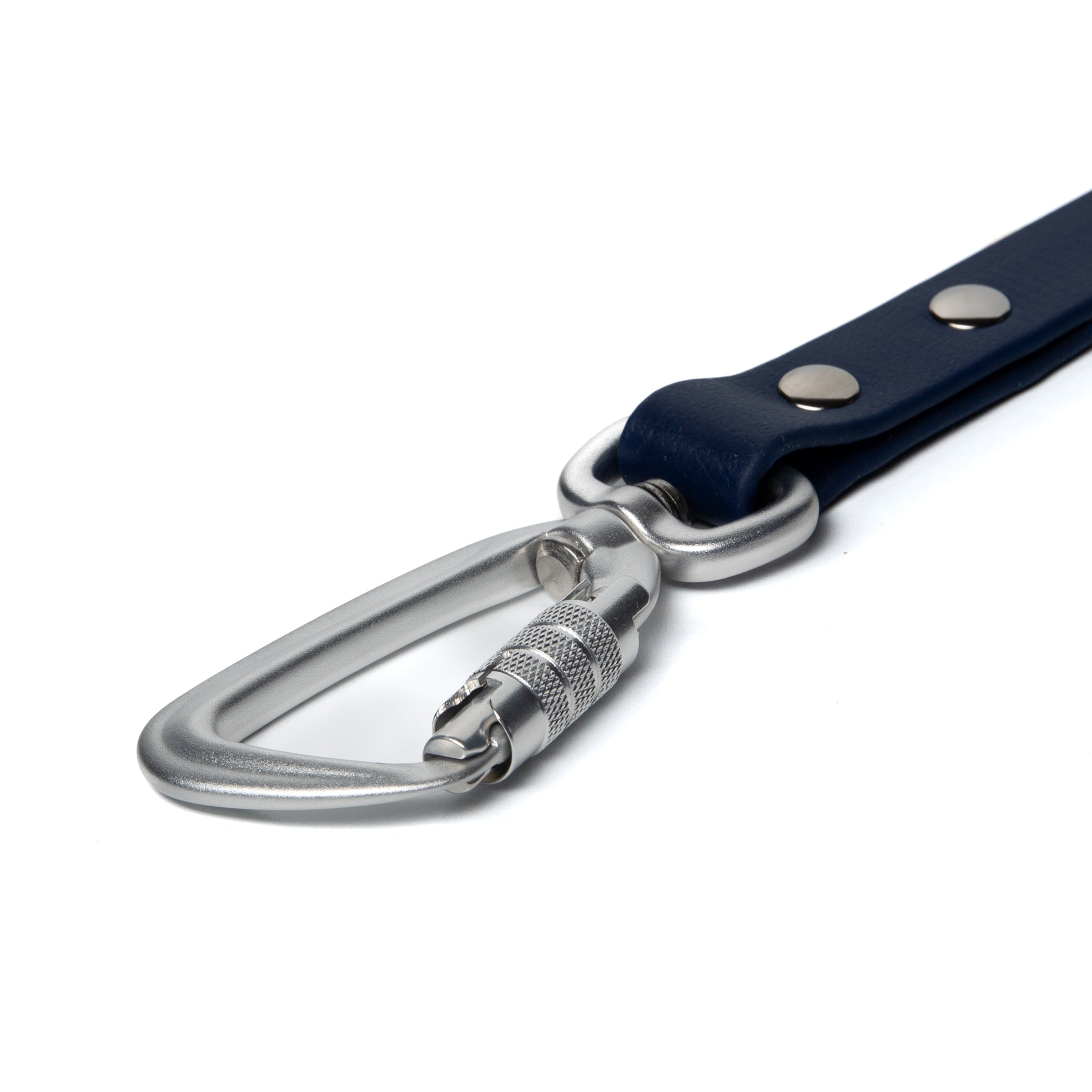 BioThane® Waterproof Dog Leash - Deep Sea Blue