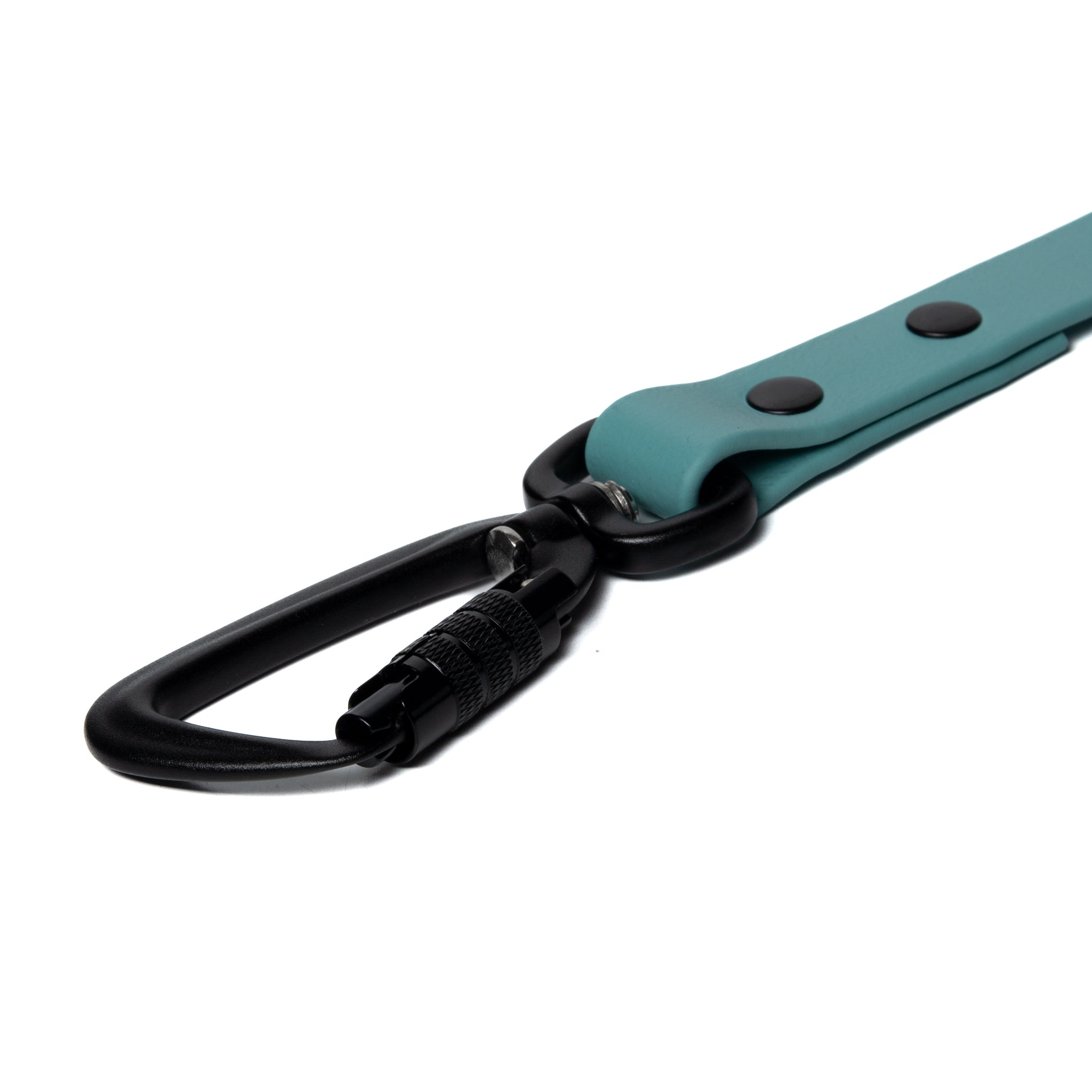 BioThane® Waterproof Dog Leash - Dusty Turquoise