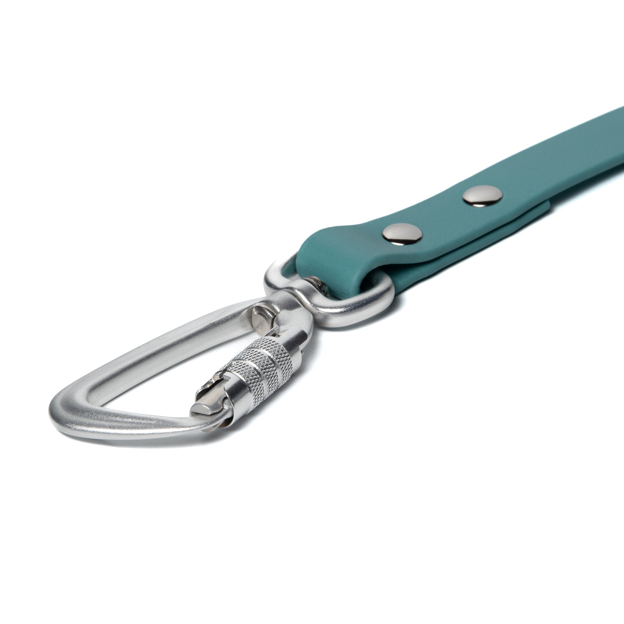 BioThane® Waterproof Dog Leash - Dusty Turquoise