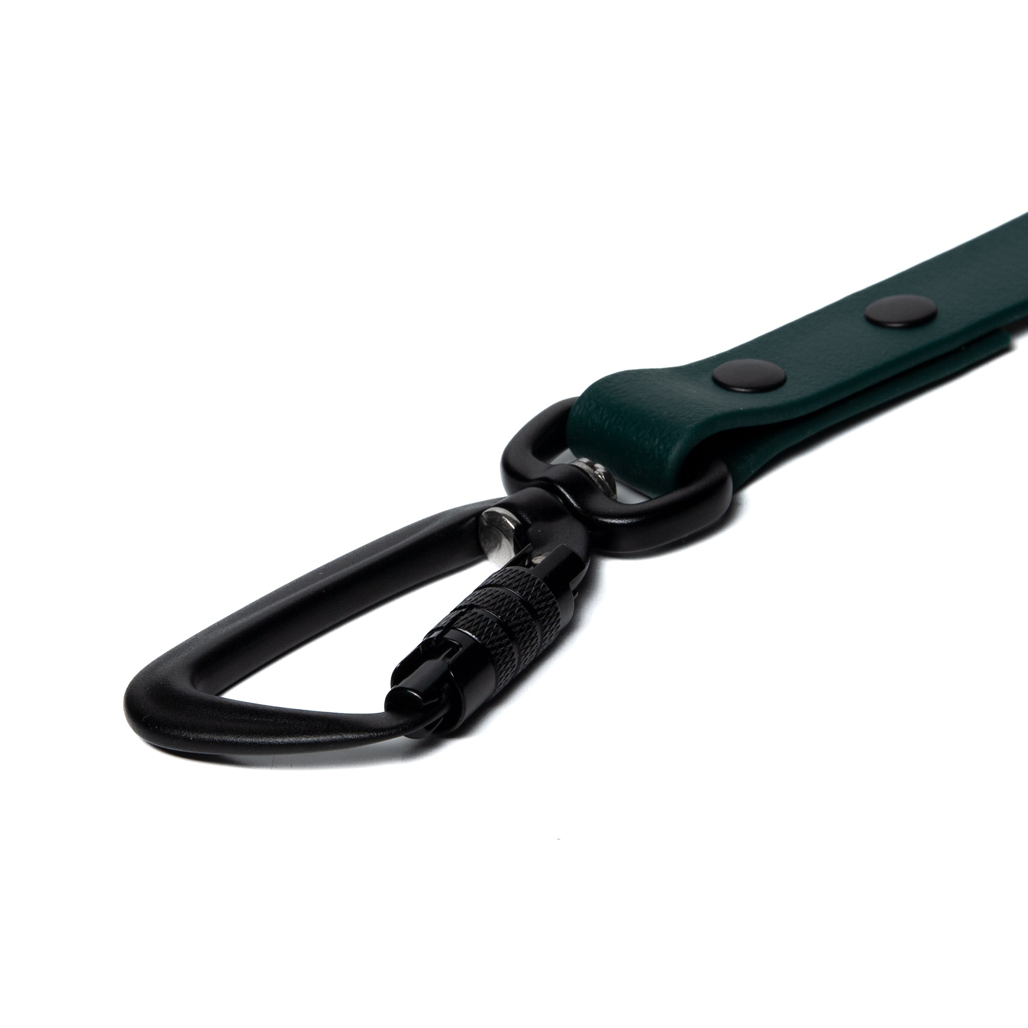 BioThane® Waterproof Dog Leash - Emerald