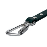 BioThane® Waterproof Dog Leash - Emerald