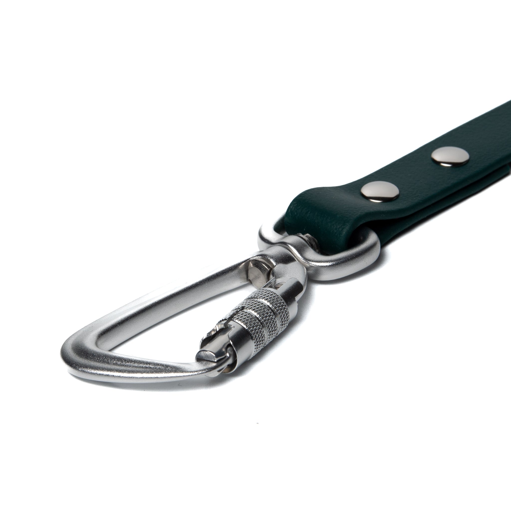 BioThane® Waterproof Dog Leash - Emerald