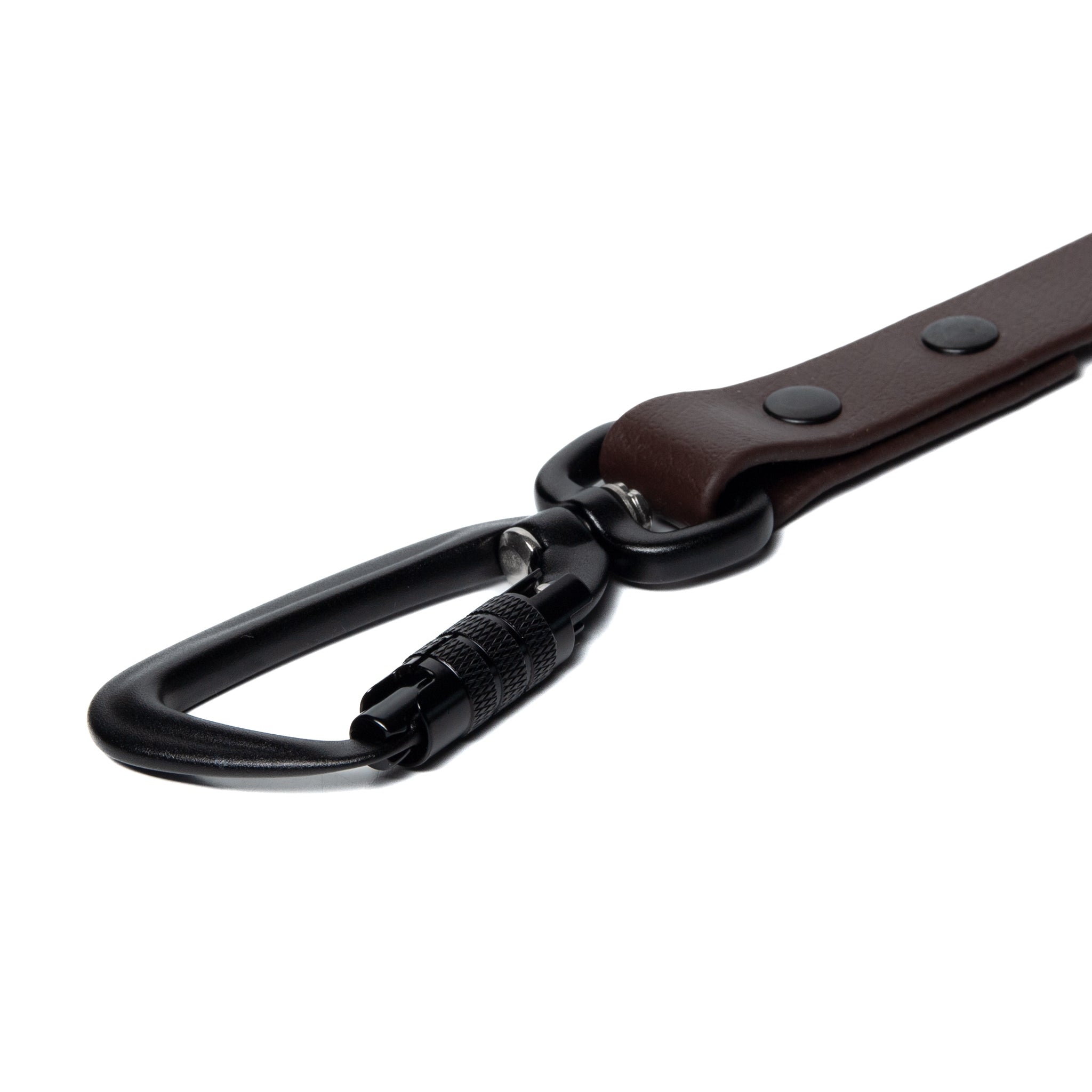 BioThane® Waterproof Dog Leash - Espresso