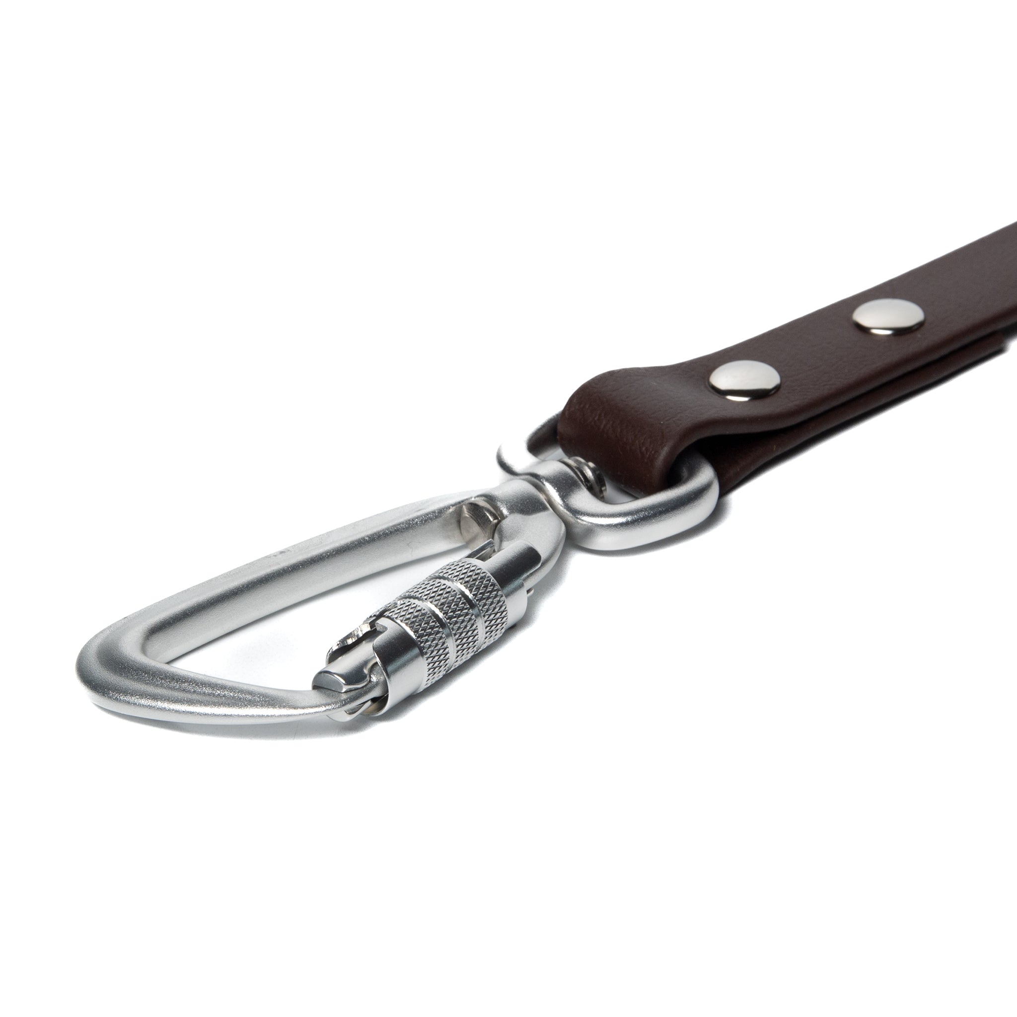 BioThane® Waterproof Dog Leash - Espresso