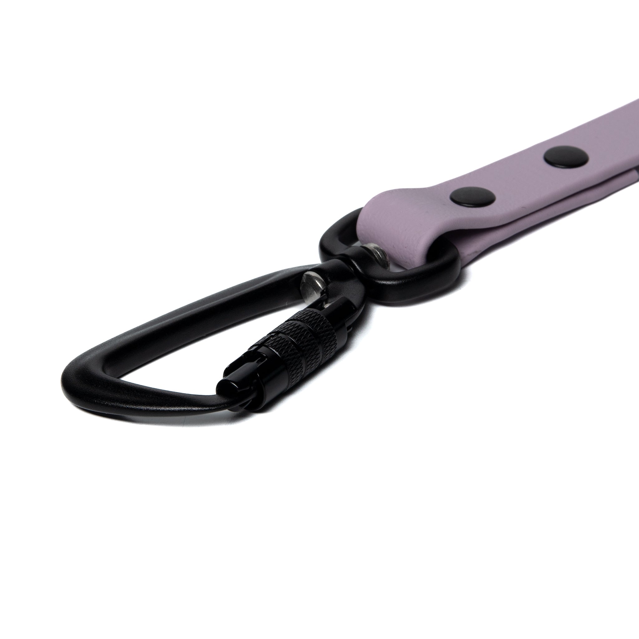 BioThane® Waterproof Dog Leash - Lilac