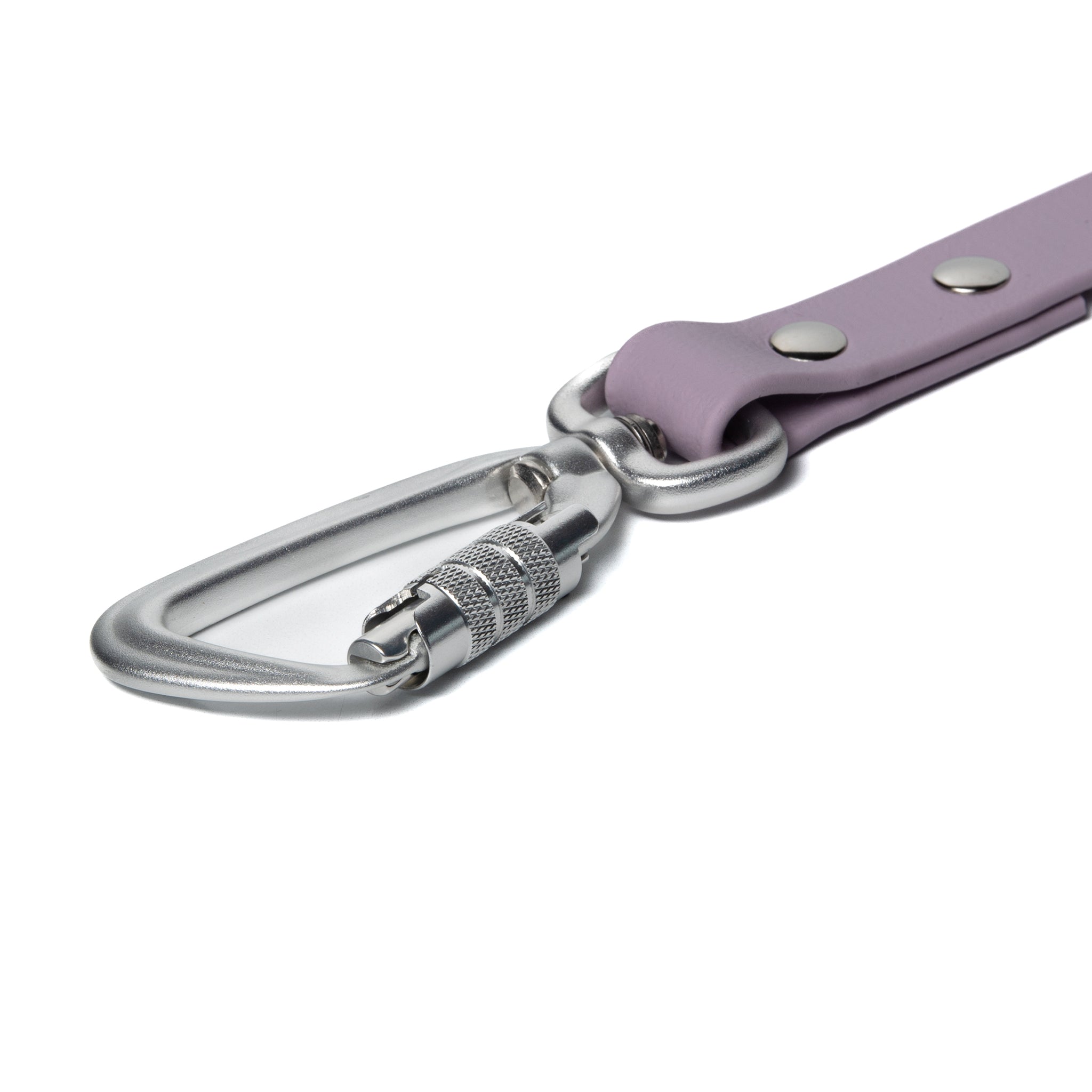 BioThane® Waterproof Dog Leash - Lilac