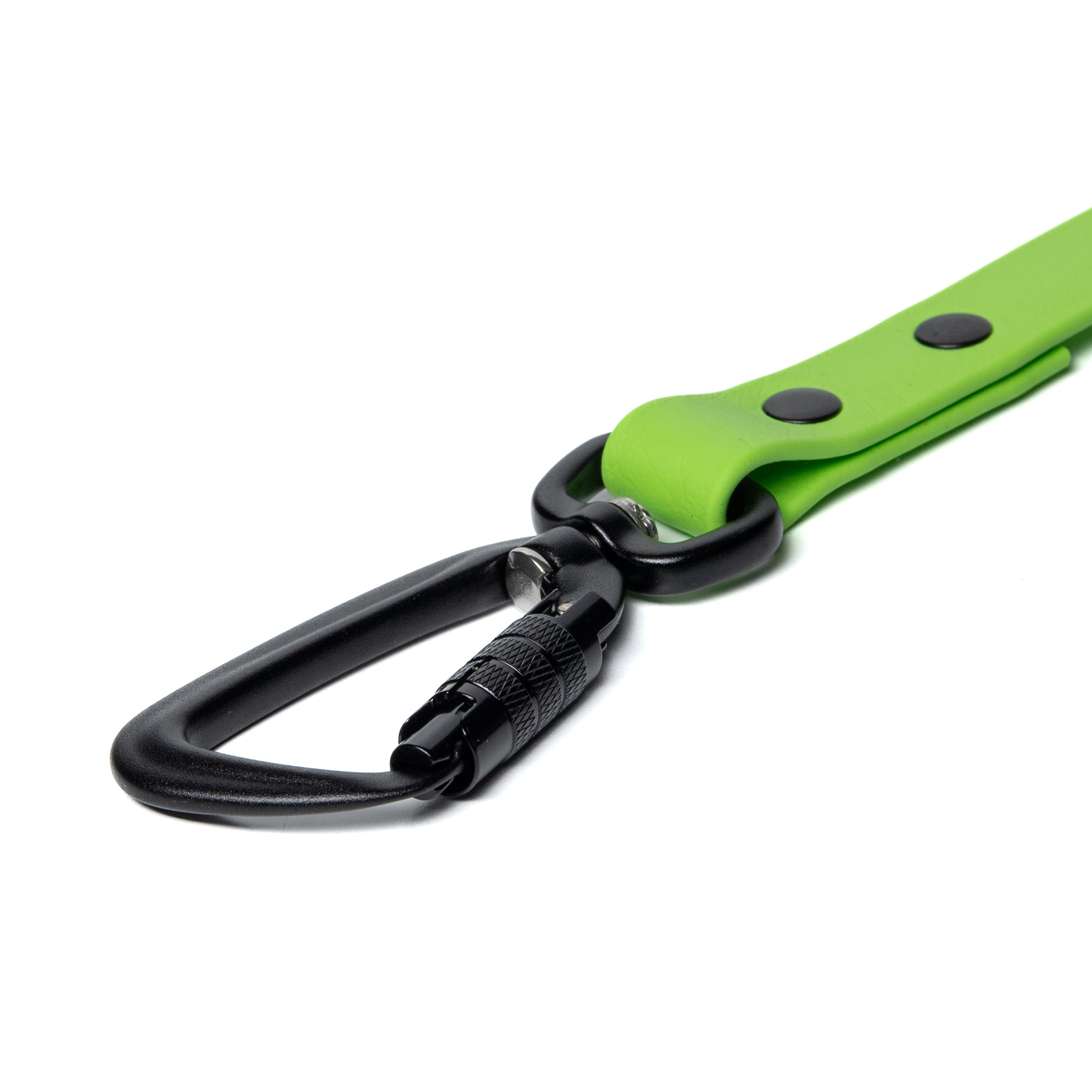 BioThane® Waterproof Dog Leash - Lime