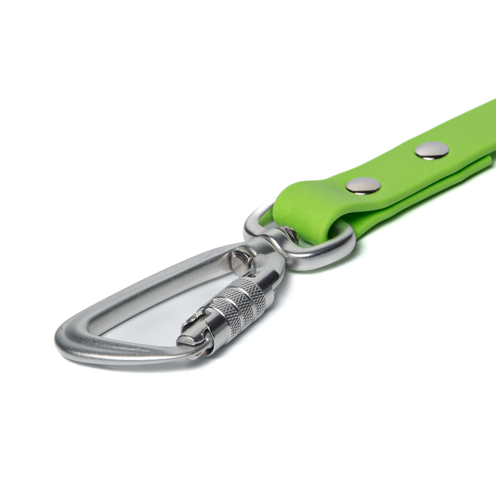 BioThane® Waterproof Dog Leash - Lime