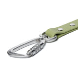 BioThane® Waterproof Dog Leash - Matcha