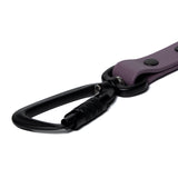 BioThane® Waterproof Dog Leash - Mauve