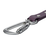 BioThane® Waterproof Dog Leash - Mauve