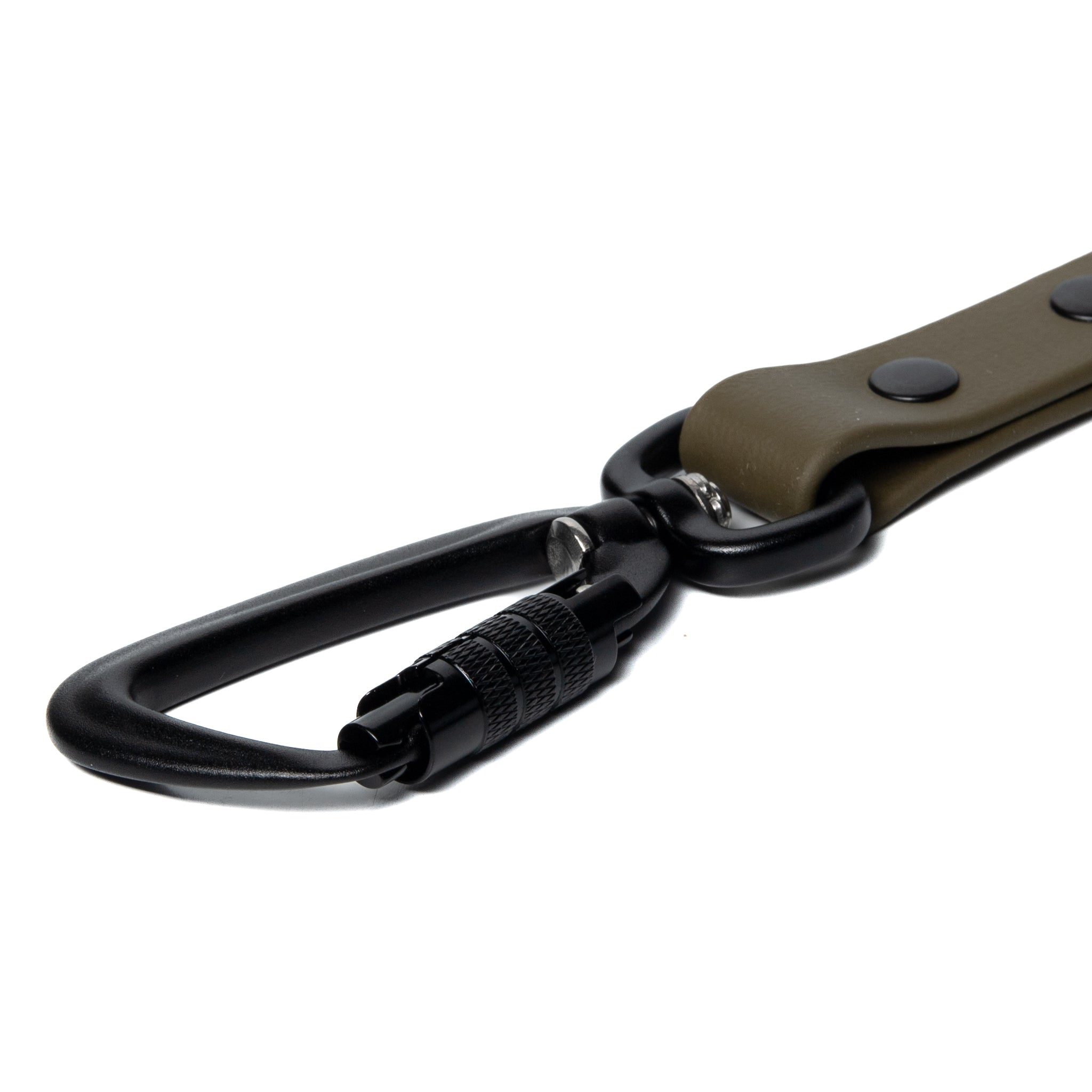 BioThane® Waterproof Dog Leash - Olive