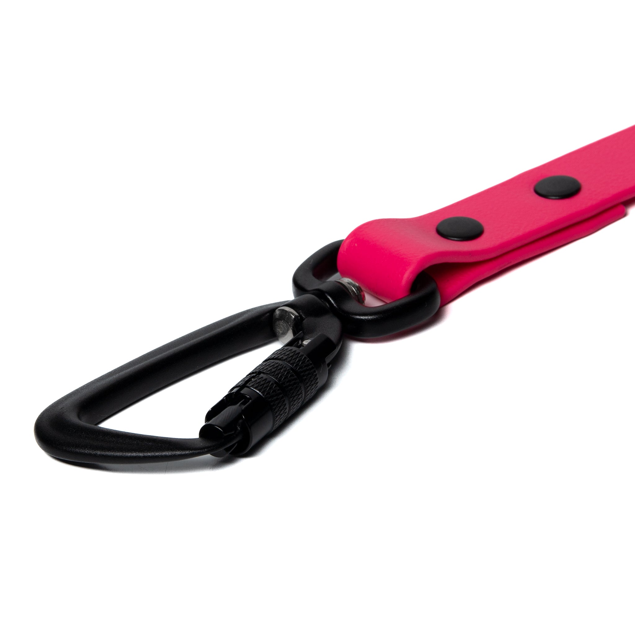 BioThane® Waterproof Dog Leash - Passion Fruit