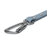 BioThane® Waterproof Dog Leash - Pastel Blue