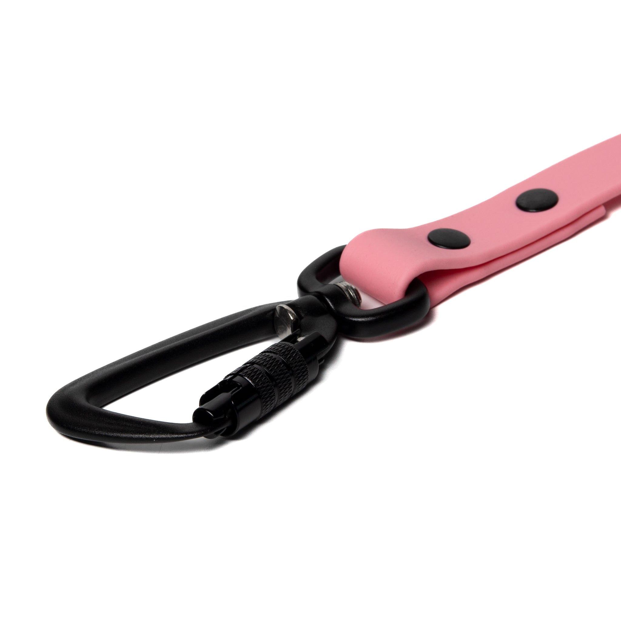 BioThane® Waterproof Dog Leash - Pastel Pink