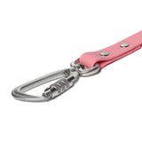 BioThane® Waterproof Dog Leash - Pastel Pink