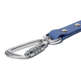 BioThane® Waterproof Dog Leash - Periwinkle