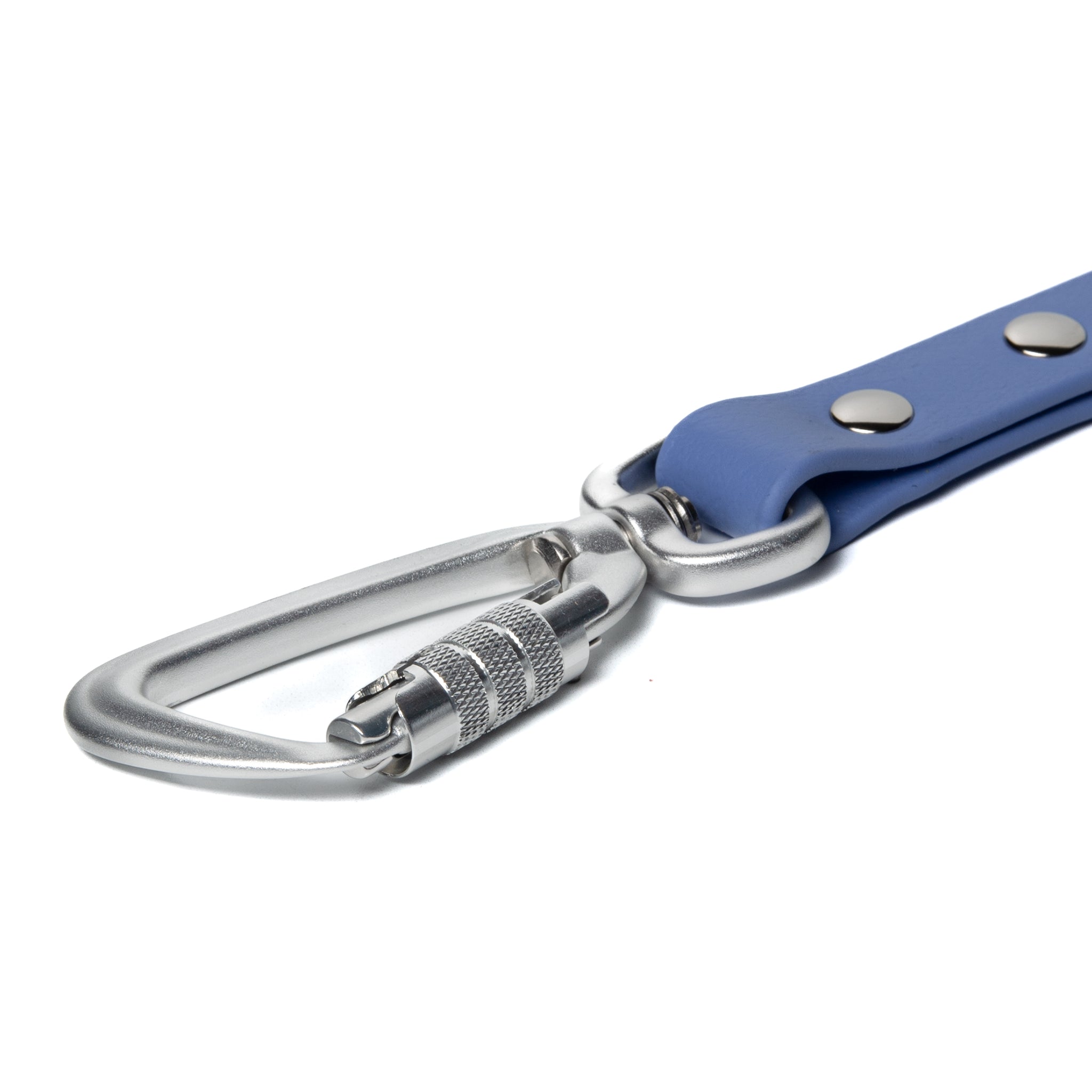 BioThane® Waterproof Dog Leash - Periwinkle