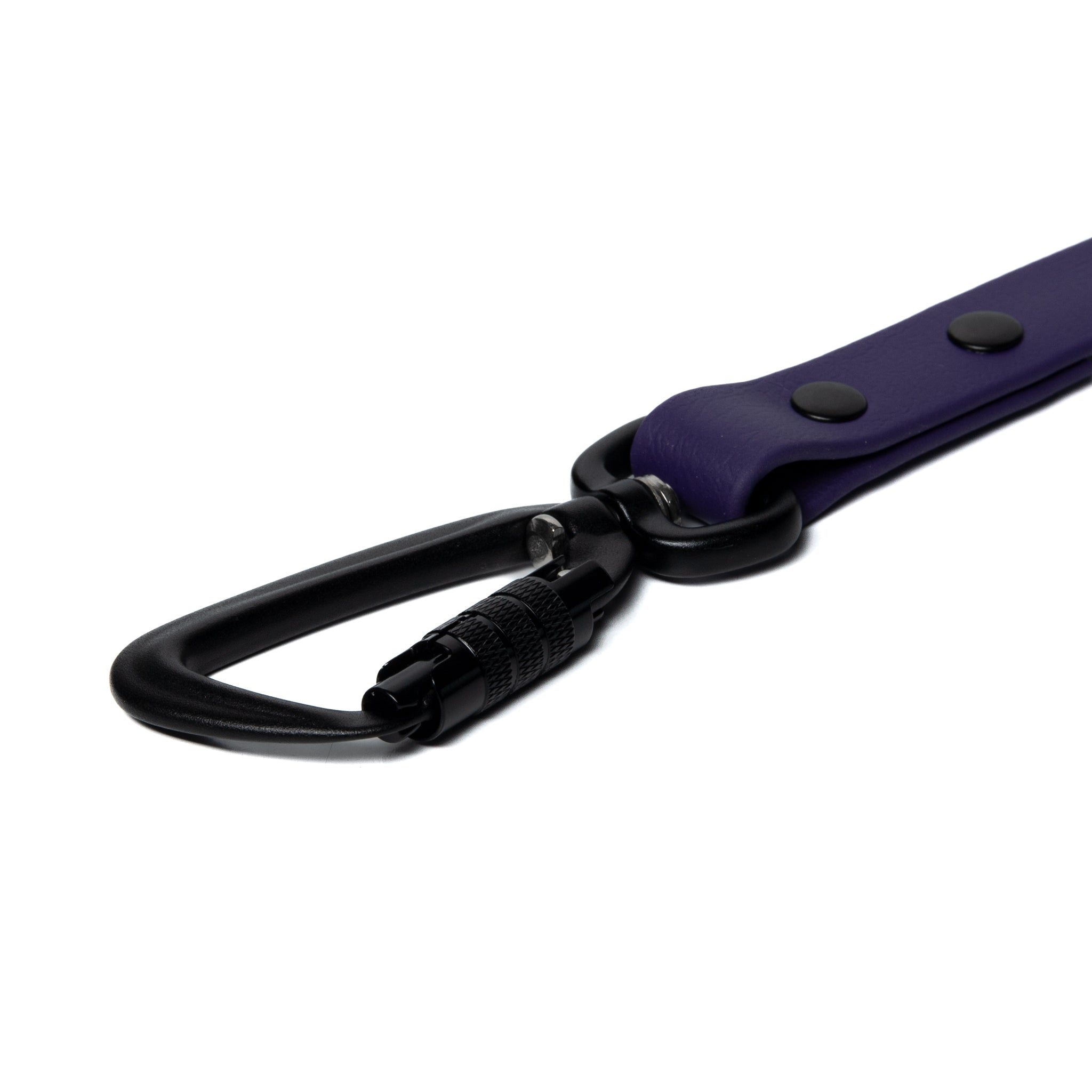 BioThane® Waterproof Dog Leash - Purple