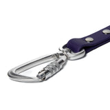 BioThane® Waterproof Dog Leash - Purple