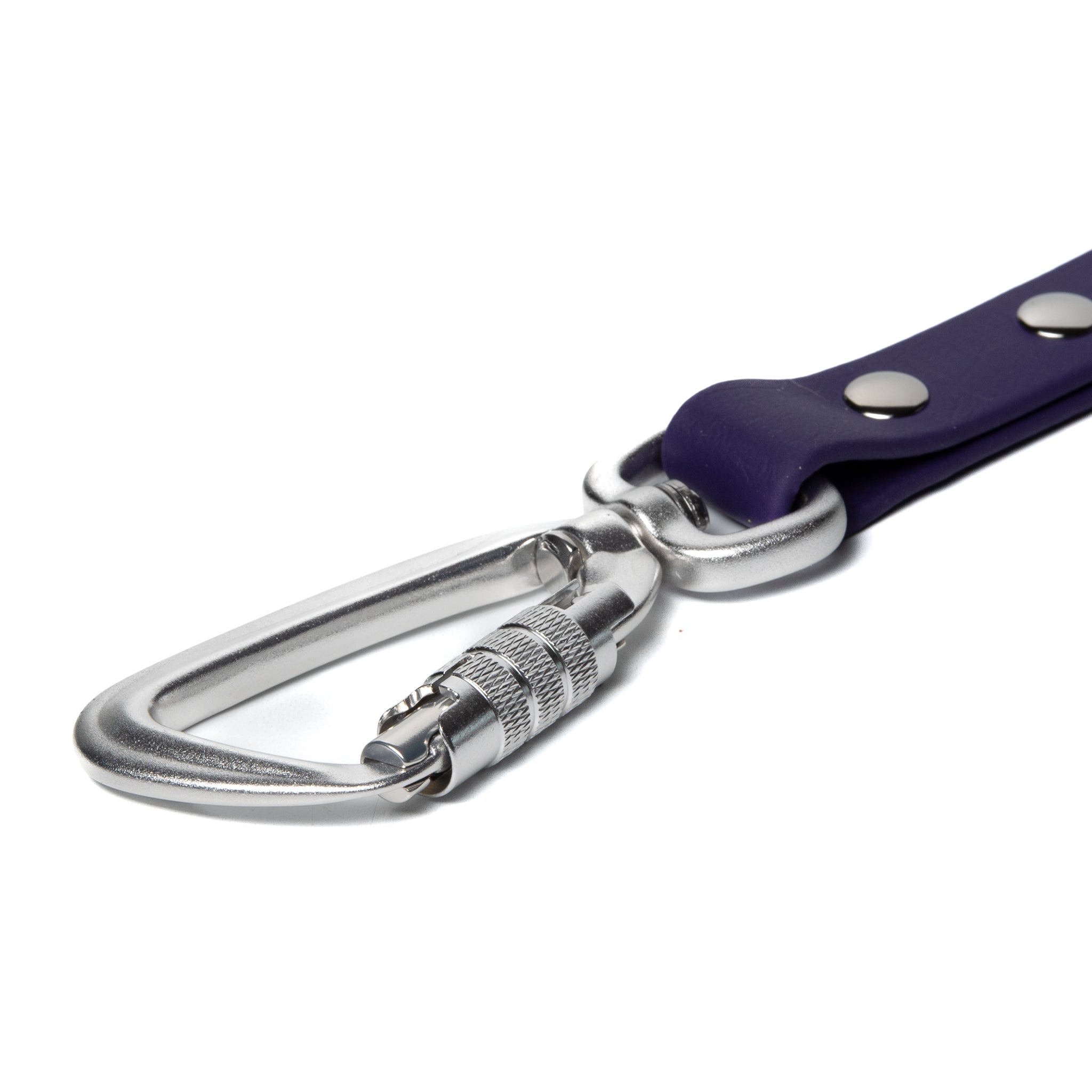 BioThane® Waterproof Dog Leash - Purple
