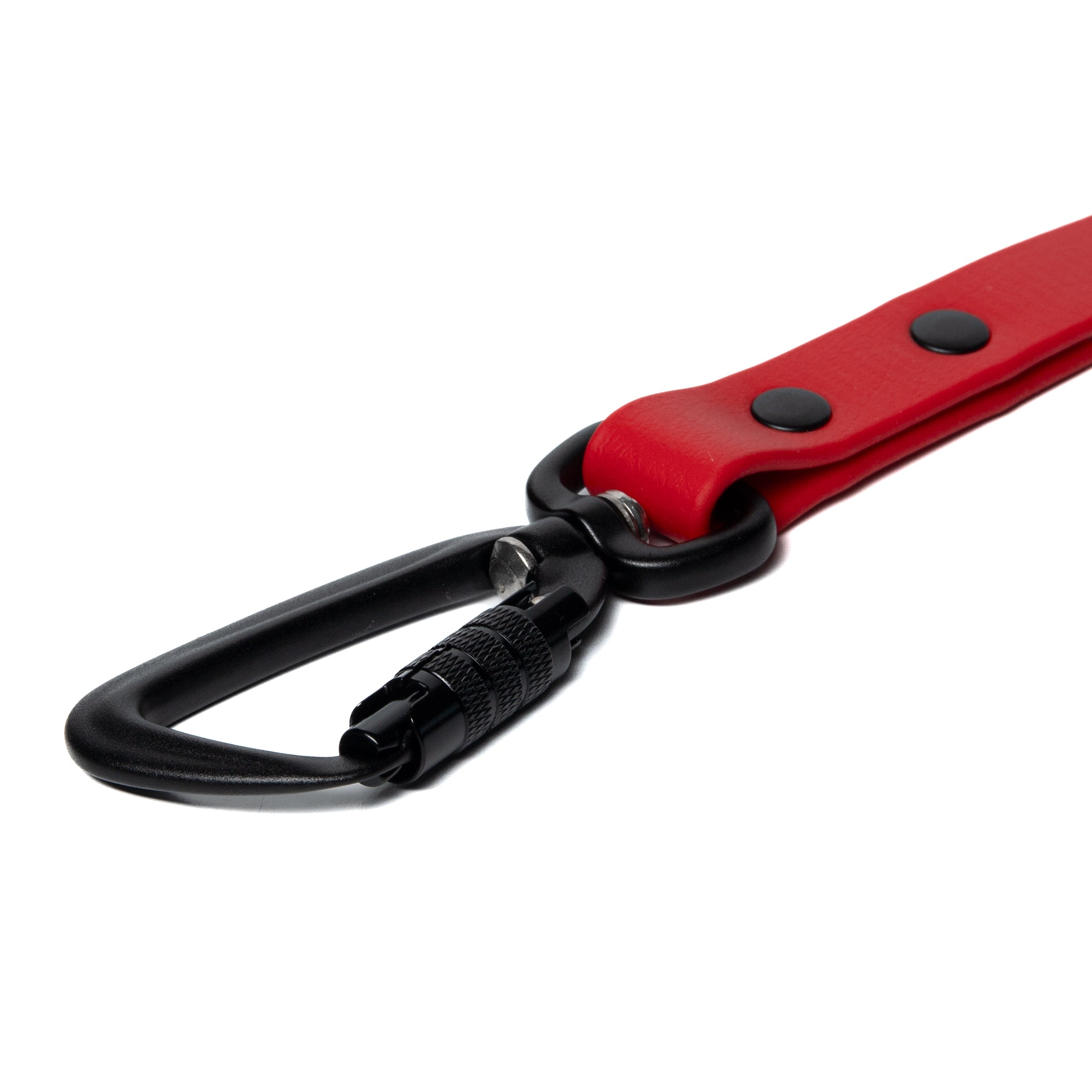 BioThane® Waterproof Dog Leash - Red