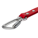 BioThane® Waterproof Dog Leash - Red