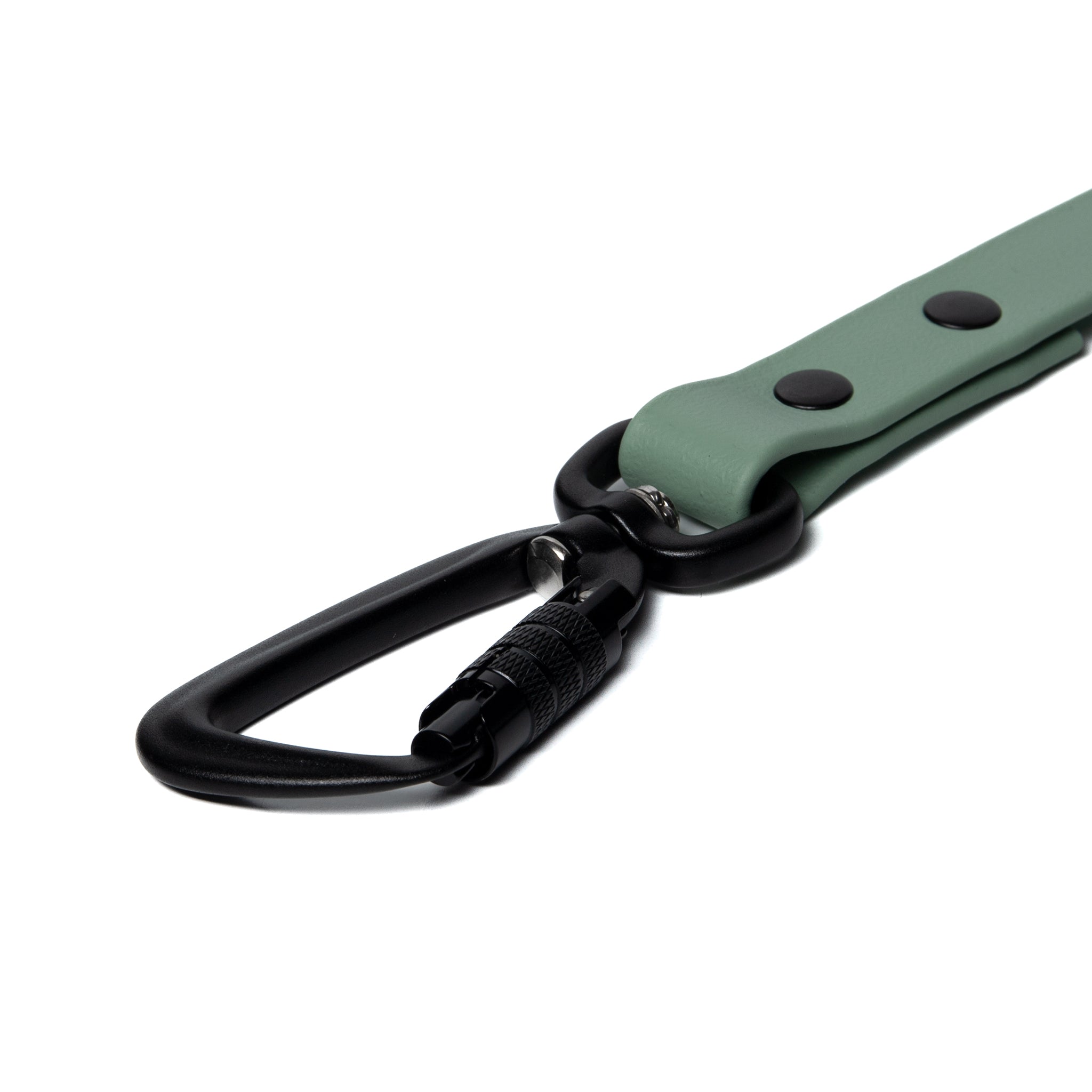 BioThane® Waterproof Dog Leash - Sage Green