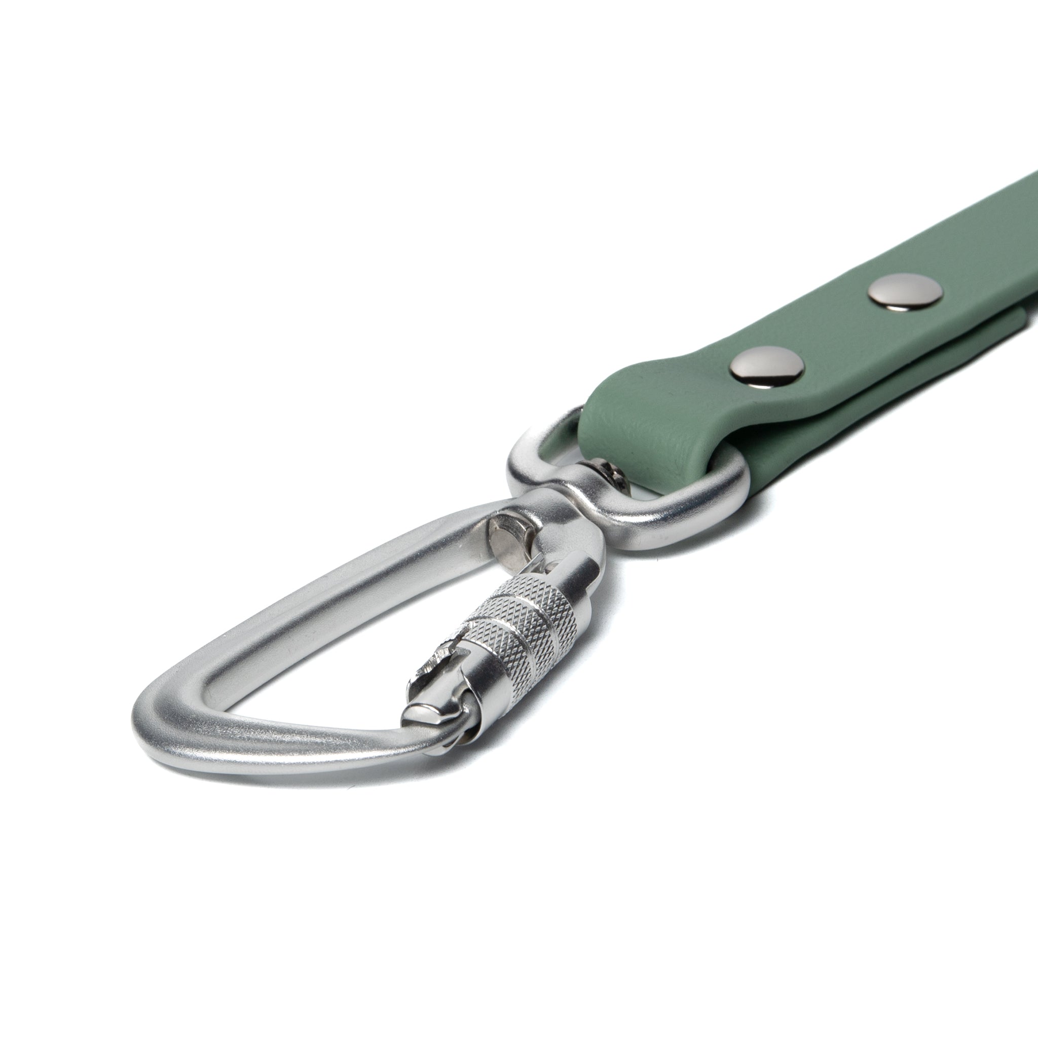 BioThane® Waterproof Dog Leash - Sage Green